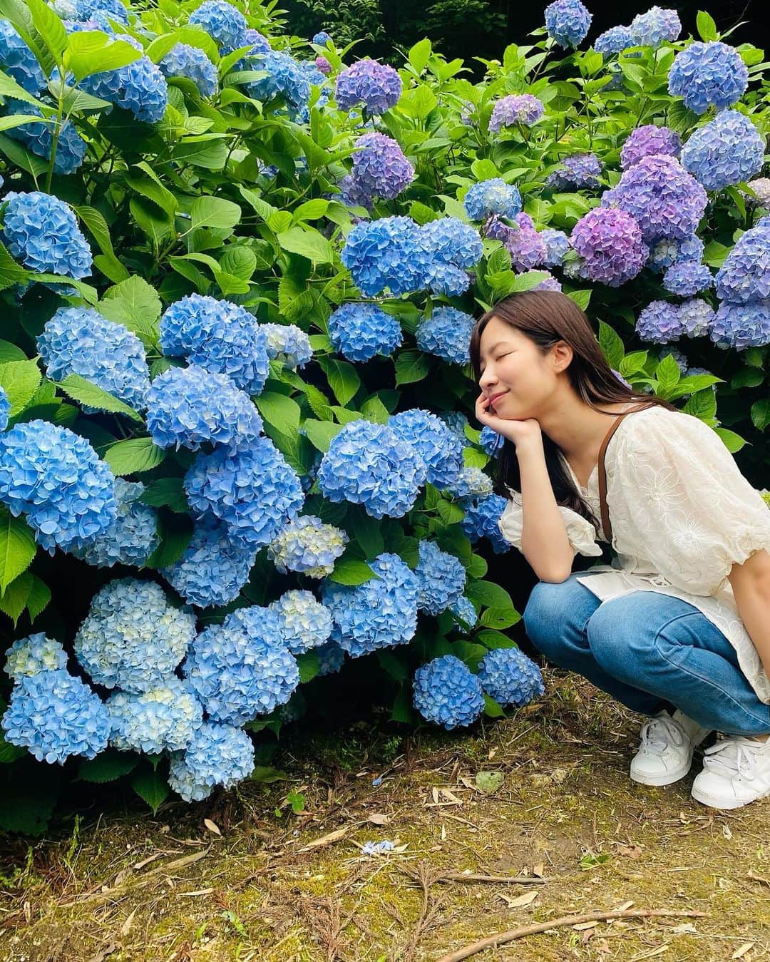 のインスタグラム：「#あじさい祭り   まだ始まったらばっかりやったけん これからが見頃かもしれない…⚇  #佐賀 #saga #唐津  #佐賀観光 #唐津観光  #九州観光 #日帰り旅行  #見帰りの滝  #あじさい #紫陽花」