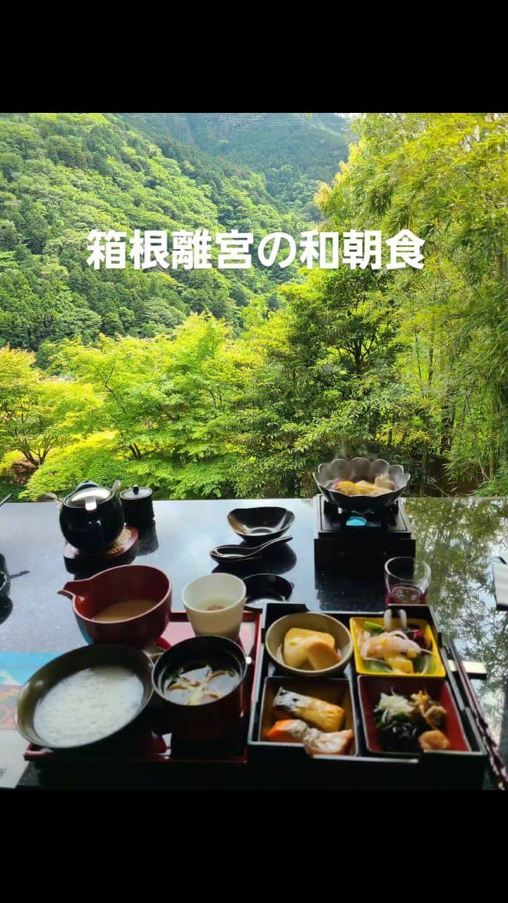 今堀恵理のインスタグラム：「エクシブ箱根離宮の朝ごはん  新緑を目の前に気持ちの良い景色と共に食べる😍😍 鮑のお鍋や炊きたてご飯 沢山の食材を使った和のおかず 朝から豪華  そしてバックの中には @shein_japan  @sheinofficial スマホグッズ  SHEIN Summer Sale launch day starting from today! Save money. Live in style! ☆スマホホルダー  9976570 ☆高速USB 14152313 ☆外部インターフェース 15267665 SHEINの割引クーポンあります SMP7085 〜6月末日有効  #saveinstyle #SHEIN #SHEINpartner or #ad #SHEINelectronics #SHEINappliances」