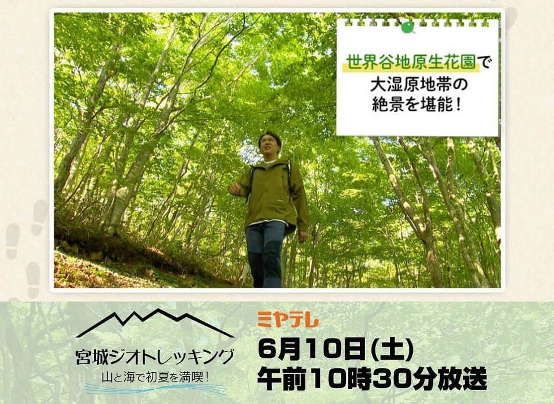 金子貴俊のインスタグラム：「6/10（土）1030〜1125 ミヤギテレビ「宮城トレッキング　山と海で初夏を満喫！」  https://www.mmt-tv.co.jp/program/miyagi_geotrekking/  科学的に重要で貴重な自然公園である「ジオパーク」は日本に４６か所あり、宮城県内では栗駒山麓と三陸が認定されています。  登山好きの金子貴俊は山！！！  栗駒山麓をトレッキングし、浅布渓谷・不動の滝や大湿原地帯の世界谷地原生花園で絶景を堪能します！ 　  　元ＡＫＢ４８で女優の横山由依さんは三陸の気仙沼を訪問。 お伊勢浜では地殻変動によってむき出しとなった数万年前の地層や化石を見学し、東日本大震災伝承館では語り部の高校生に話をうかがいます。  山と海で美しい大自然を満喫した２人が、宮城の魅力を存分にお伝えします！  過去に発生した自然災害の爪痕が残るエリアも巡り、自然がもたらす脅威を間近で感じながら防災への意識も高めていきます。」