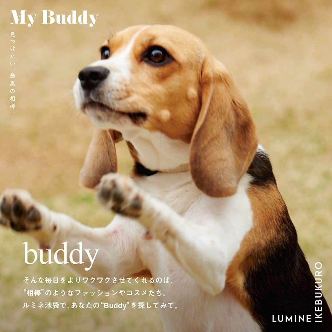 ルミネ池袋さんのインスタグラム写真 - (ルミネ池袋Instagram)「. LUMINE IKEBUKURO 「My Buddy 見つけたい、最高の相棒。」  あなたの“バディ”を探せ！ 🐶  この投稿に「バディ」とコメントすると、DMにメッセージが自動で届きます。 出てくる質問に答えるだけで、あなたの“バディ”を診断！  ぜひ、この夏をともにしたいアイテムを 見つけてください♩  --------------------------------------- All-in-one ¥28,600 ATELIER Spick & Span / Spick & Span 【B1】  〈HERMÈS〉Earrings ¥104,500 ENSEMBLE【B1】 --------------------------------------- ※こちらのイベントは終了しました ※価格は全て税込です」6月9日 19時00分 - lumine_ikebukuro