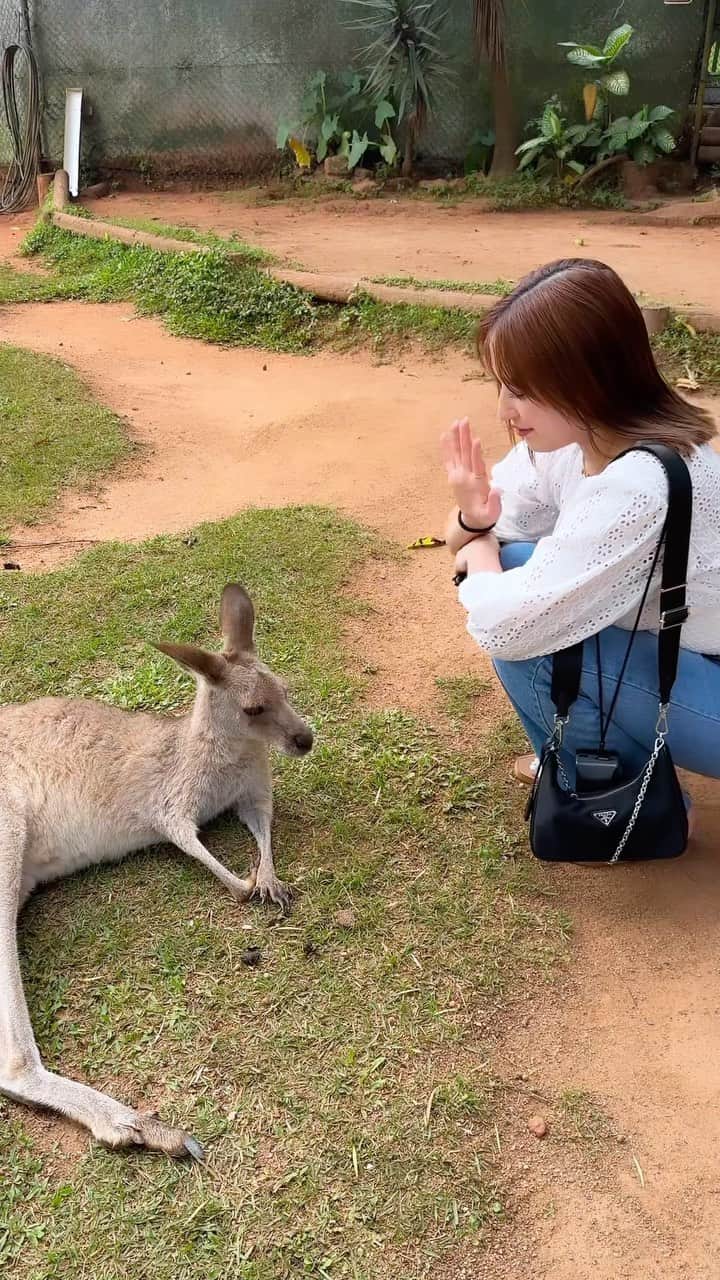 平田梨奈のインスタグラム