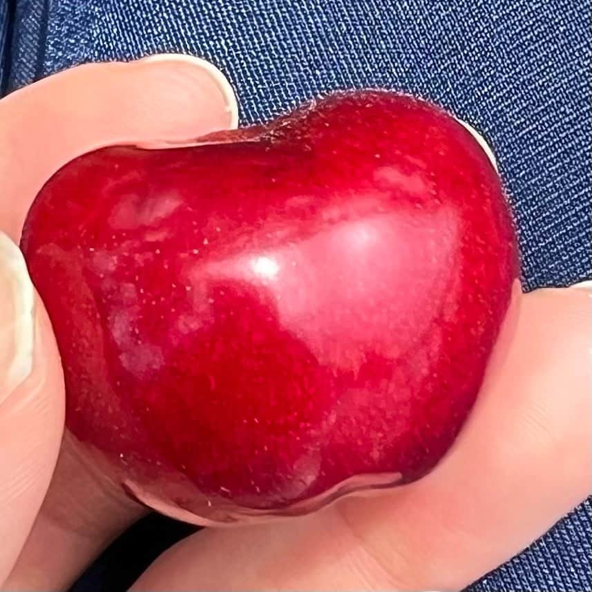 工藤美桜のインスタグラム：「楽しかった思い出も置いておこうっと🍒🍒」