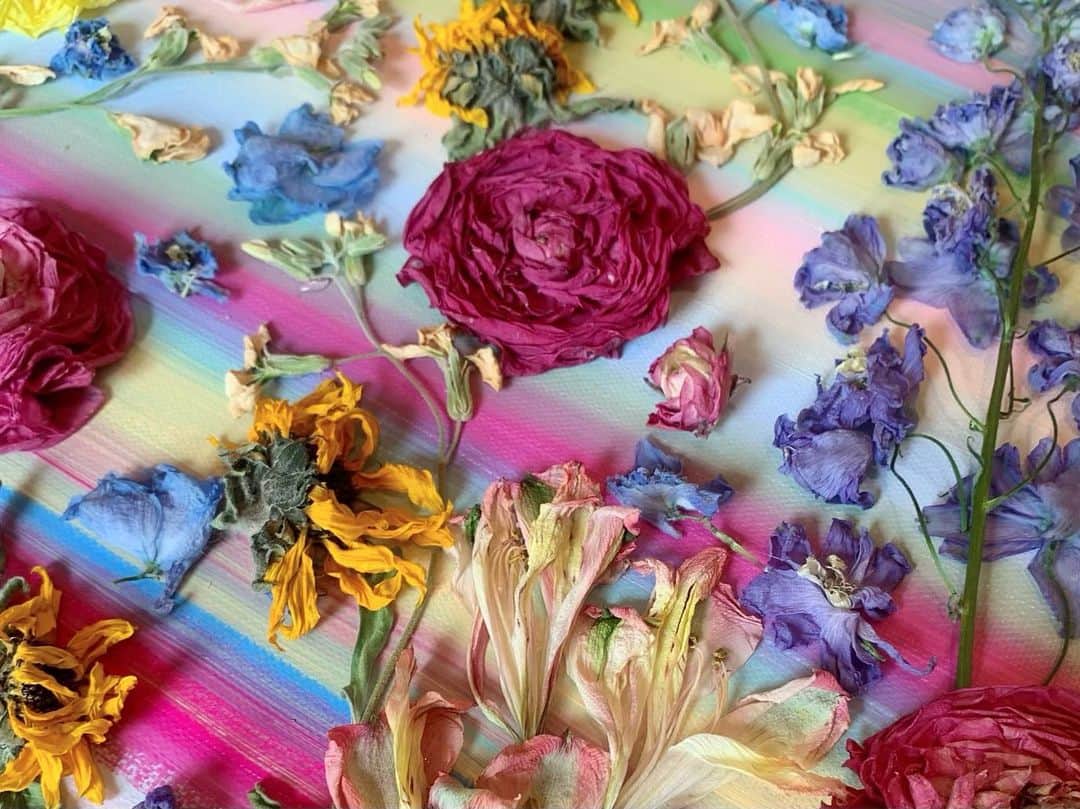 浅田真央のインスタグラム：「SDGsの日スペシャルアイスショーで使ったお花をドライフラワーにしました🌈」