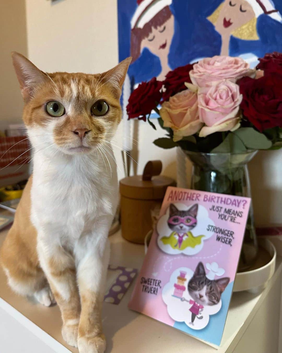fukishaljのインスタグラム：「💌🍋💛  小さな頃から手紙が好きで 今でも家族や大切な人たちに書いたり可愛いメッセージカードやレターセットがあると集めています💌　 手紙だから伝えられる気持ちもあったり…🌺  日本が世界に誇る野球界のスーパースター・イチローさんに届いたある一通のお手紙。 そのお手紙はイチローさんの心を動かしました💌 一生懸命な子どもたちとプレーするうちに、イチローさんの中に１つの「気づき」が芽生えます。  #気づきの扉  本日23:10〜放送です🙏🏻」