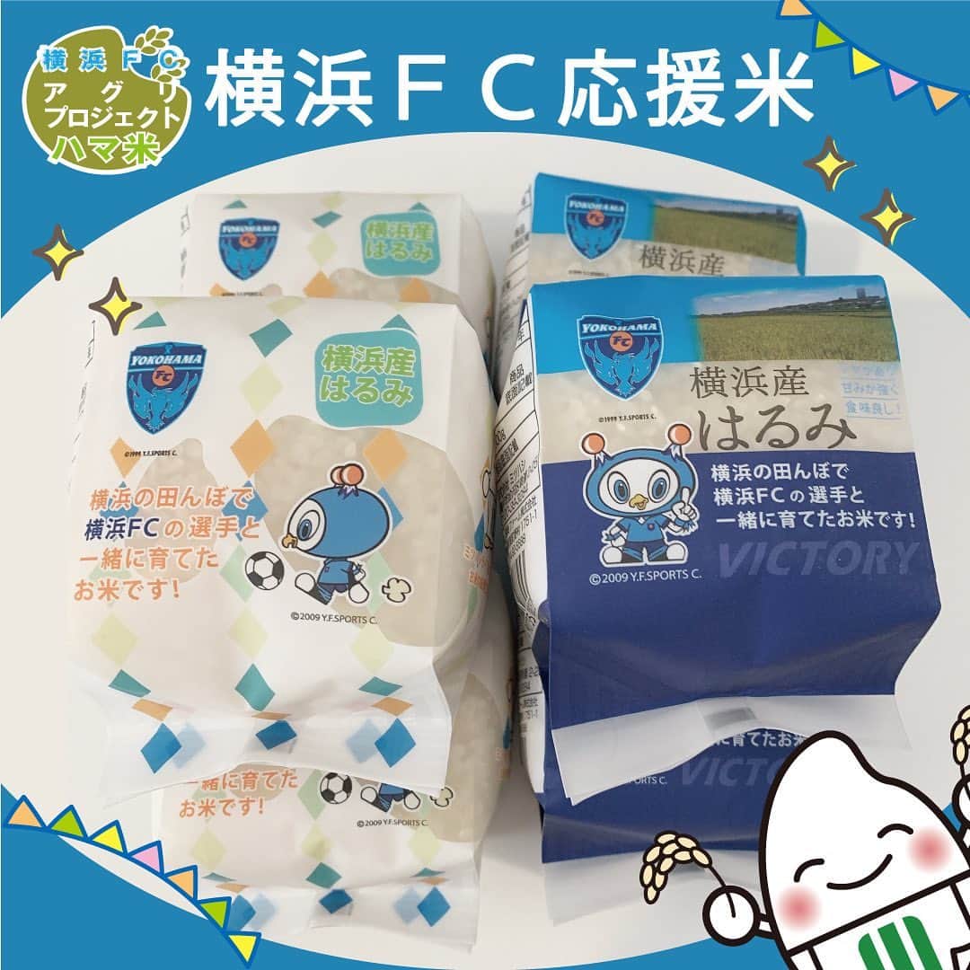 ミツハシくん-Mitsuhashi Rice-のインスタグラム：「横浜FCアグリプロジェクト ”ハマ米”からのお知らせ🌾  横浜FC応援米が新パッケージで発売開始📣  昨年横浜FC、JA横浜、ミツハシライスで 田植えから携わったお米だよ🌾🍚  商品は… 横浜市産はるみを使用🌾 2合（300ｇ）のキューブ型で持ち運びがしやすい📦 オリジナルパッケージは2種類あるよ‼️  販売場所は… 横浜FC：J1リーグ戦　第17節　vs浦和戦 三ツ沢ニッパツ球技場特設ブースにて販売開始✨  6月11日は僕も応援しに行く予定だよ⚽️ フリ丸と写真撮影のチャンスあるかも⁉️  ↓その他の販売予定店舗こちら↓ ・横浜市内JA横浜直売所（一部店舗） ・ミツハシライス楽天ショップ ※発売日は販売店によって異なります。 ※店舗によっては、お取扱いのない場合や売り切れで販売終了の場合がございます。  横浜FCのTwitterにも 商品の案内が投稿されているよ！ そちらも是非見てみてね😊  お楽しみに〜💕 . #ミツハシライス  #企業キャラクター  #ミツハシくん   #横浜FC  #yokohamafc  #JA横浜  #アグリプロジェクト  #ハマ米  #横浜市産 #はるみ  #地産地消  #横浜農場   #米作り #農業 #農家  #米 #ご飯 #ごはん #rice」