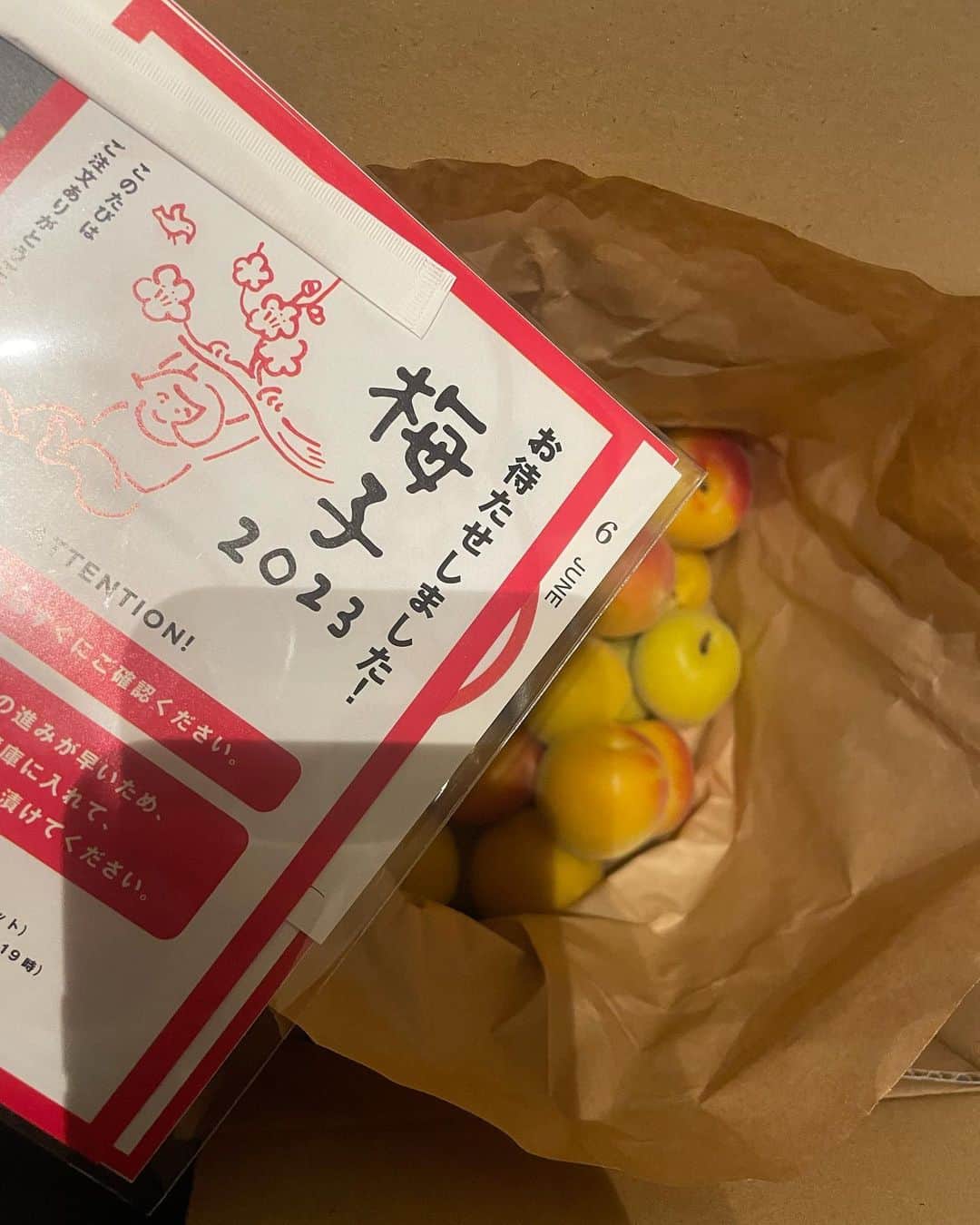 ギャル曽根のインスタグラム：「梅子届きましたー🫶🏻🫶🏻🫶🏻 今年も美味しい梅干し漬けるぞ😍❤️🩵❤️🩵❤️ #すっごくいい香り #癒される。 #梅子 #梅干し作り #🍙」