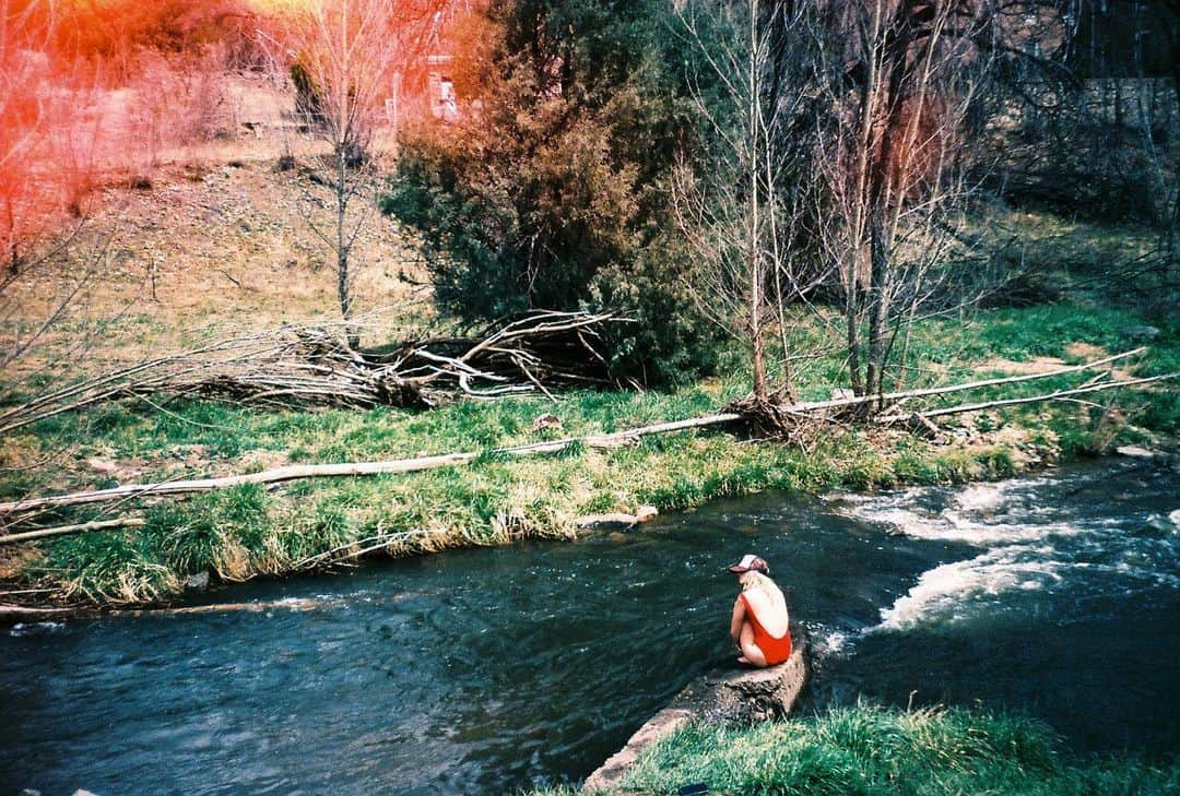 ウィロー・シールズのインスタグラム：「The start of summer on 35mm film」