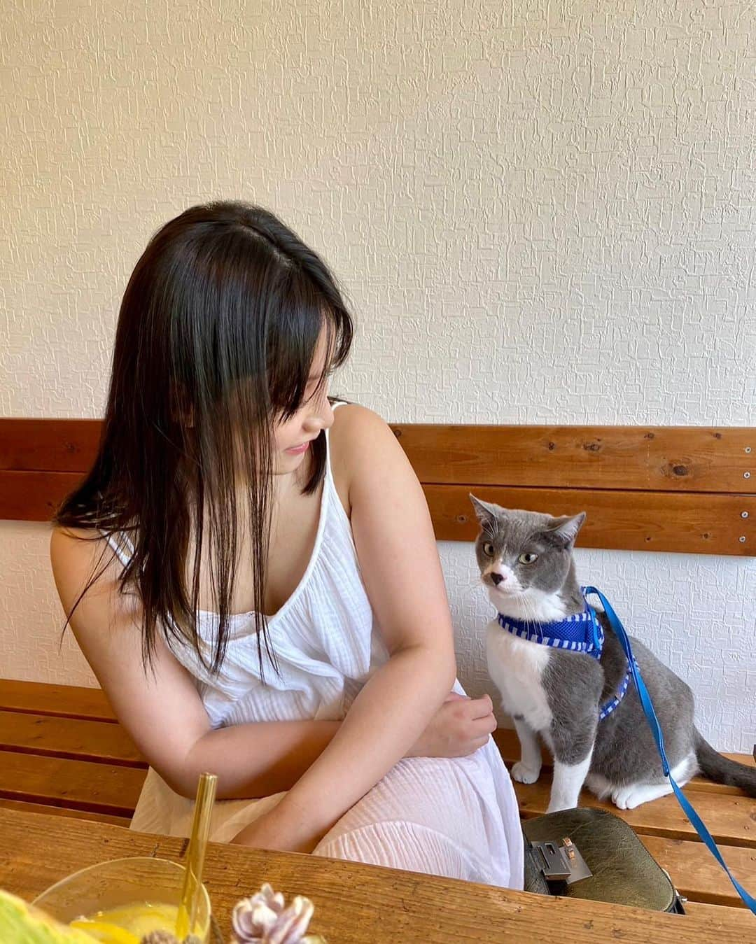 武田あやなさんのインスタグラム写真 - (武田あやなInstagram)「ペットOKなカフェ🍰🐈 この日はめっちゃ暑かったのよね . . . . . . . . . #ペット可 #カフェランチ #猫のいる暮らし  #ポートレート #黒髪ロング」6月9日 19時07分 - ayanatakedaa