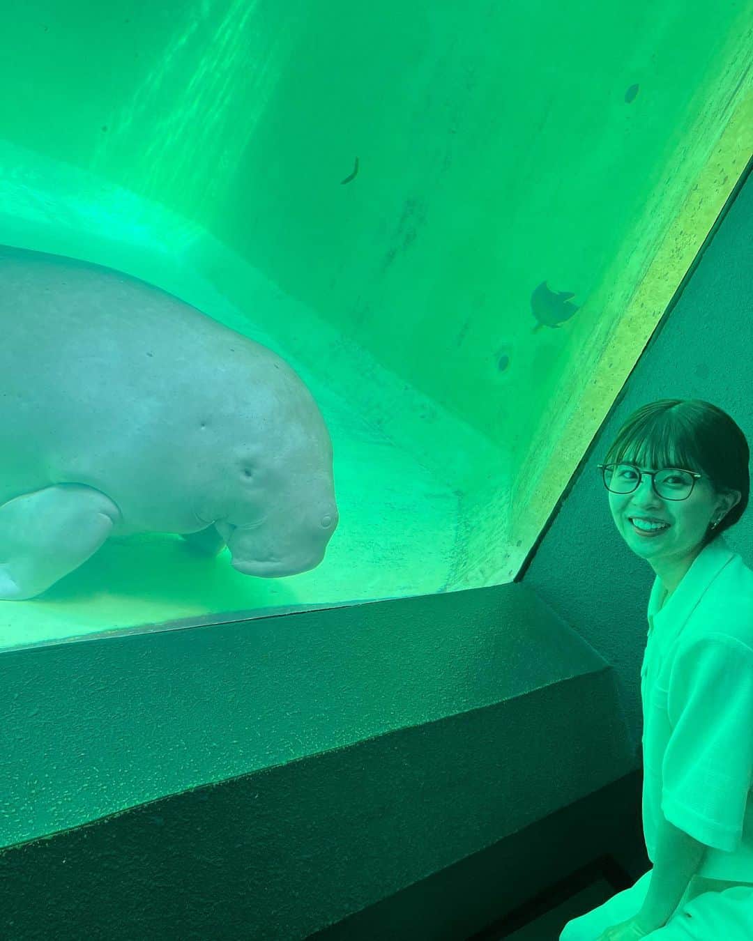 松田好花のインスタグラム：「ㅤ  お伊勢さんの後は鳥羽水族館へ行きました🐟  #yahostagram   #日向坂46 #松田好花  #鳥羽水族館 #ジュゴン #ラッコ  #撮っている途中に #息を吸いに #水面に上がって行きました #ジュゴンの息継ぎは #5分に1回 #びっくりだ」