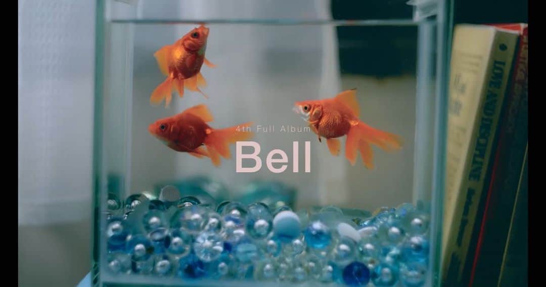 石崎祥子のインスタグラム：「THE BEAT GARDEN "Bell" album trailer  美術装飾担当させていただきました。  レコードやカセット、イヤリングも作らせていただきました🔔🐝  Dir Takumi Saitoh(THINGS.)  金魚は事務所で3匹とも飼ってます。ナイスワーク金魚。」