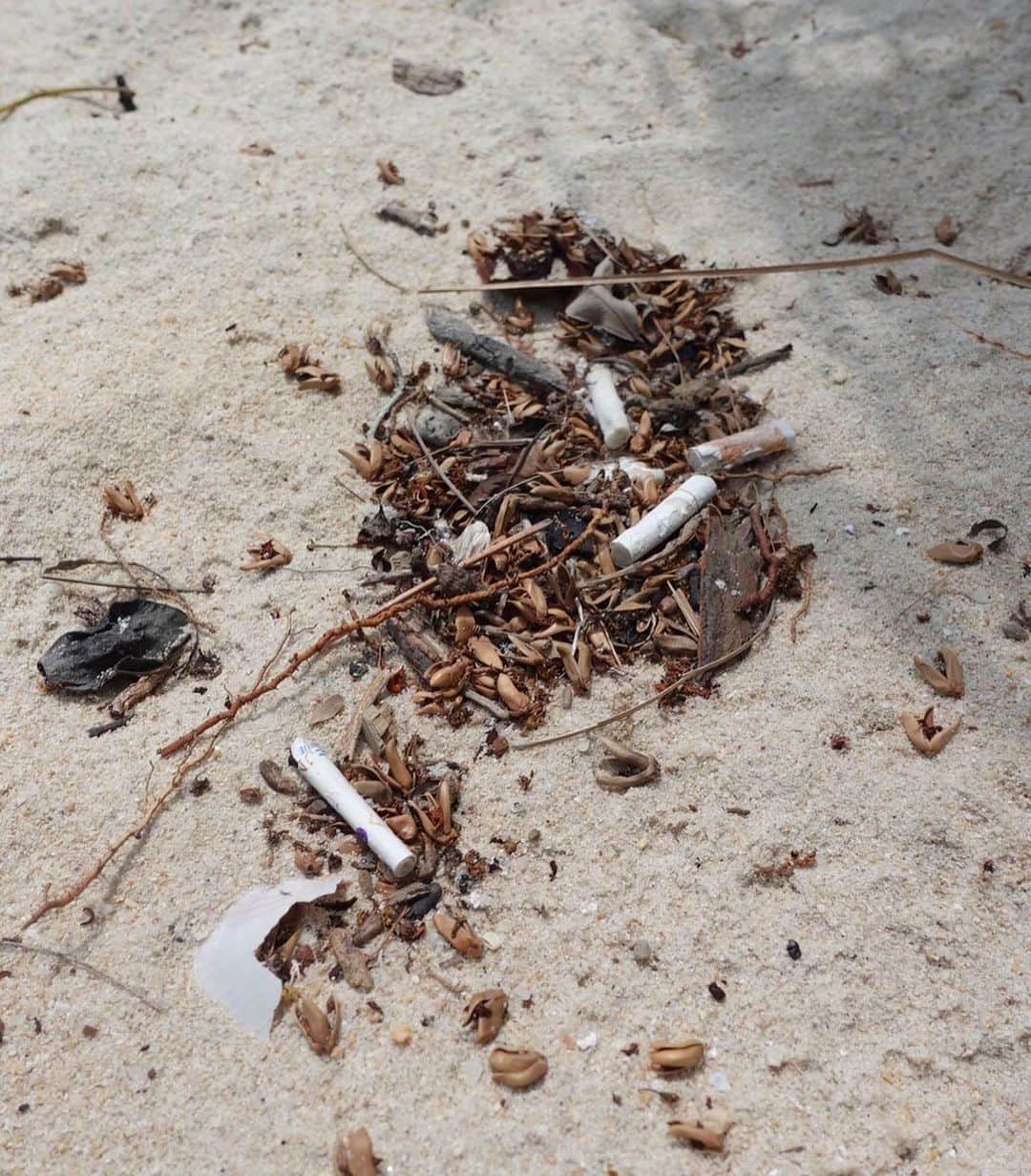 溝呂木世蘭さんのインスタグラム写真 - (溝呂木世蘭Instagram)「この前参加した【Make Up Earth】って企画でのビーチクリーン！  一見綺麗に見えるビーチだったけど かなりのゴミが捨てられてたり流されてきたりしててびっくりした！  タイでわんちゃんを飼っててビーチを散歩させてるんだけど、  よく落ちてるタバコとかを食べようとしちゃうの！  そういう時せらんが阻止できるからうちにいるわんこは大丈夫だけど、  タイってたくさんの野良犬がいて、 他にも陸にも海にもたくさんの動物がいて、  でもそういう動物たちは餌と間違えて食べちゃったりしちゃうんだよね🥺  ほんの少し一人一人が意識変えるだけでひとつまたひとつって命が守られるんだろうな🫢  #地球にやさしい旅を#makeupearth#自然保護#ビーチクリーン#アフターコロナ#象の保護#タイ観光#タイ#サムイ島#動物保護#自然を楽しむ #thailand#旅好き」6月9日 19時38分 - seran_0422