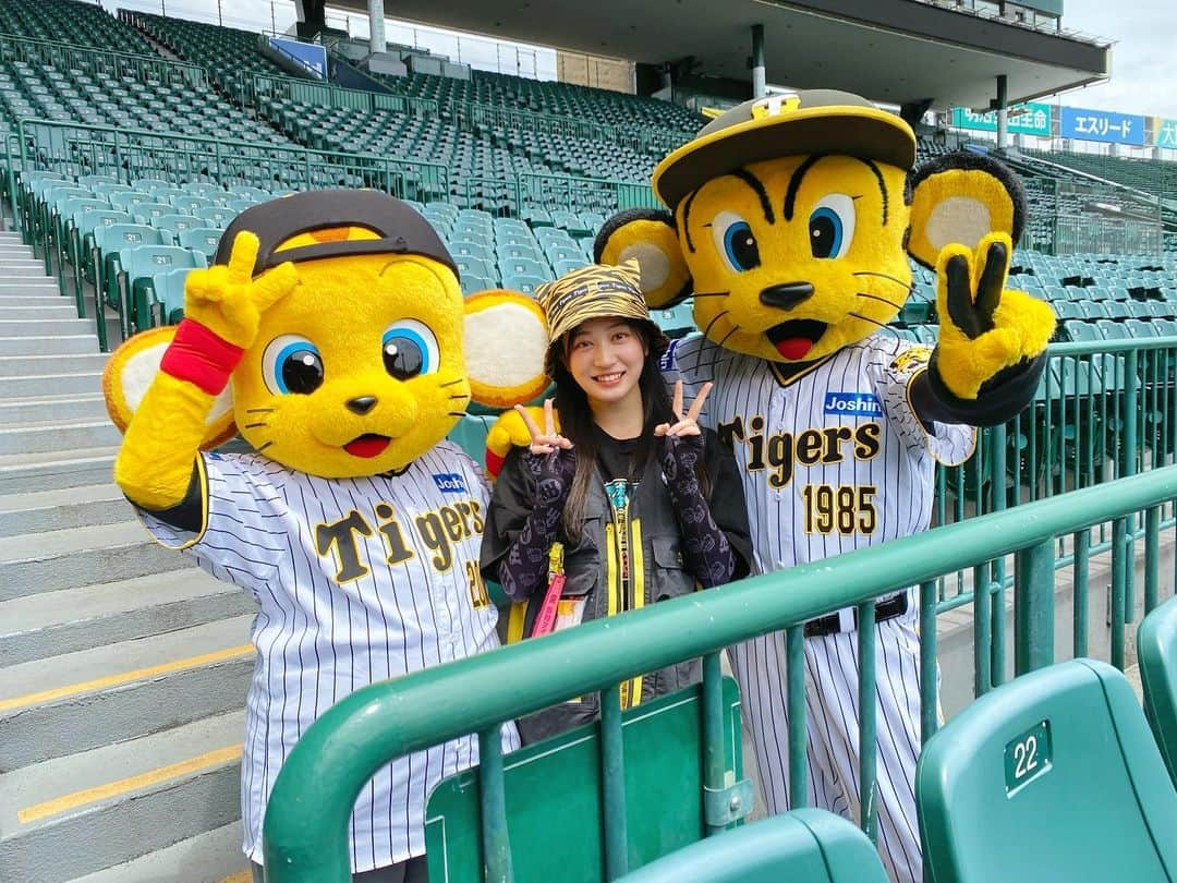 川上千尋さんのインスタグラム写真 - (川上千尋Instagram)「🐯  阪神タイガース 2023 夏の別冊カタログ YouTubeに出演してます！  その名も「ToraTube」♡  ・サマー応援スタイル編 ・世界のTORA展 の2本立て!!!  販促部長のトラッキーと キー太と共に夏のおすすめ商品を楽しく紹介🐯  トラッキーとキー太と仲良くなりすぎて イジったり、つっこんだりしちゃってます🙄笑  見たら欲しいものめちゃ増えるので覚悟して見てください🖤💛  #阪神タイガース #TORACO #甲子園グルメ大使 #阪神グッズ #グッズ  #ToraTube #youtube  川上千尋×阪神タイガース コラボグッズ 6月13日発売開始です🔥」6月9日 19時40分 - this_chihhi