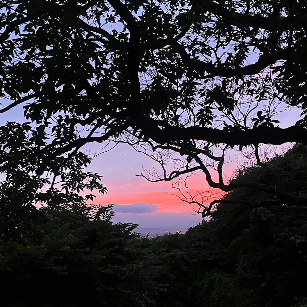 クリス智子さんのインスタグラム写真 - (クリス智子Instagram)「はじめて見る空の色みたいだなぁ と思ったそばから、 それもそうか、今日は今日だけ。  きれいな夕陽でしたねぇ。  #鎌倉」6月9日 19時44分 - chris_tomoko