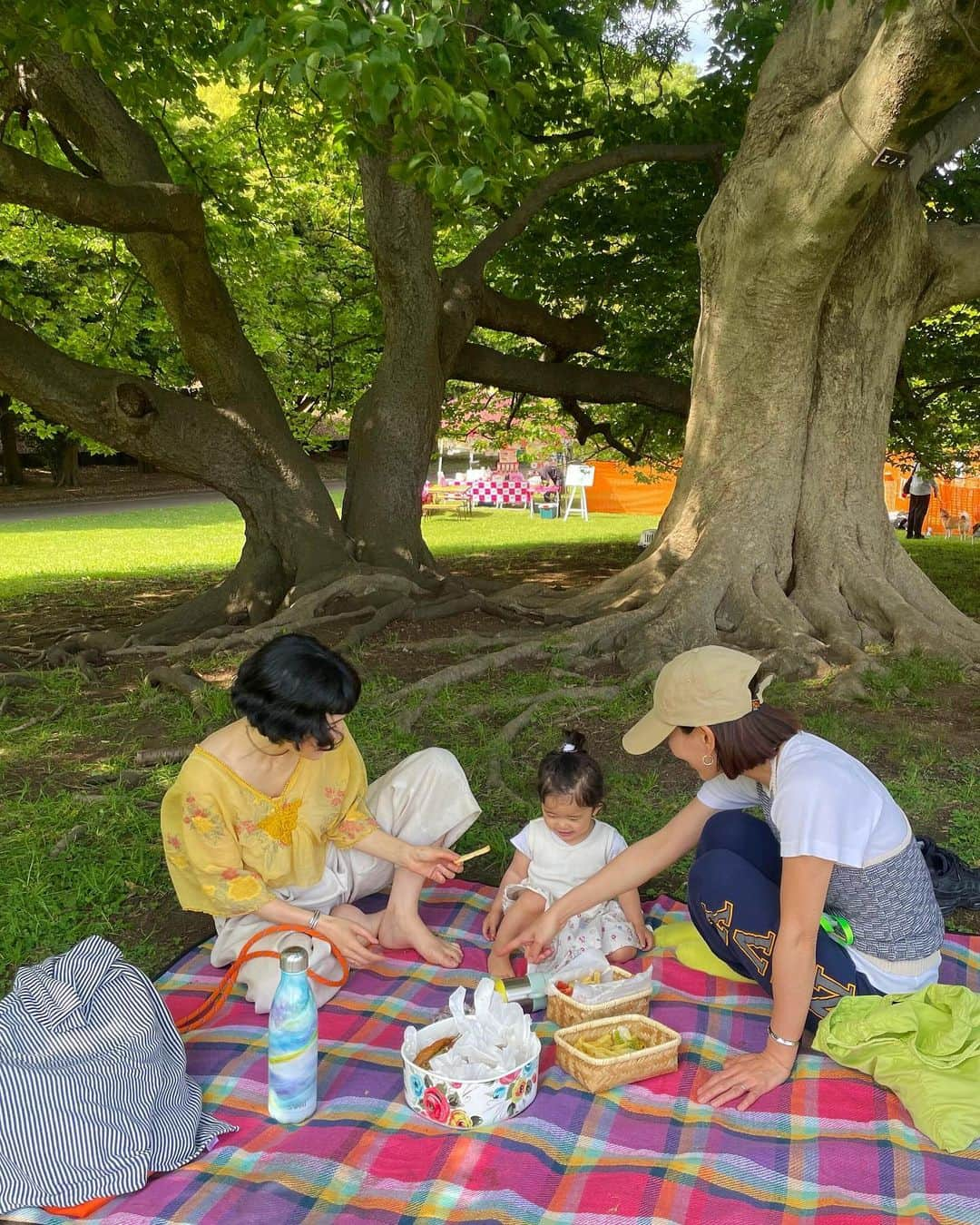 ノーマさんのインスタグラム写真 - (ノーマInstagram)「Park time memories 2023 May🌳🐒🧚  Thank you! @akisome 📸🤍 @ramuno 🍭🎶 @fumiemiyakoshi 🥙🌯🍟🇨🇺  @greenpeacejp の #リユースデラブアース プロジェクトでシェアして頂いたピクニックの様子は先月の横浜でのオフDAY🌳  マイ容器take outやメニュー等いつも快くリクエストに対応してくれる（店舗の方はキッズウェルカムな所もありがたい）La Casa De Fumieのご飯と共に🤤🫶🏻🧚  #nature #green  #picknick  #parktime」6月9日 20時18分 - noma77777