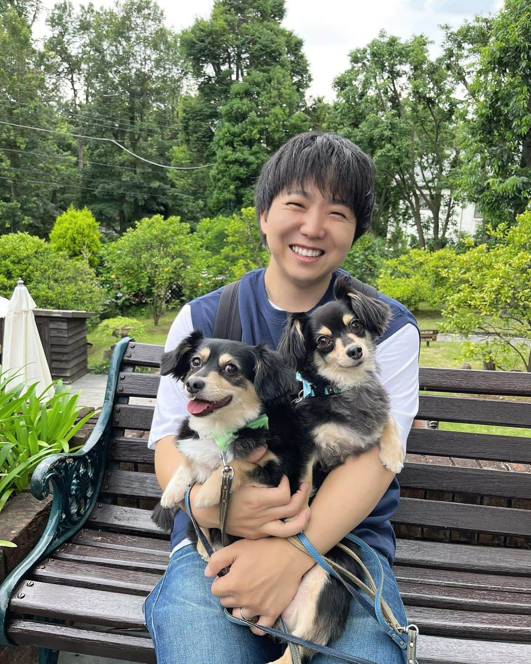 あつろーのインスタグラム：「まろ7歳の誕生日おめでとう🎊🐶 少し前にまろのお誕生日旅行に行ってきました！ 後日動画をアップ予定です♪ 当日の今日は大好きなおもちゃをプレゼン🎁 ハンバーグとケーキでお祝いをしました✨ まろこれからも元気でいてね☺️ 大好き  #愛犬誕生日 #チワックス #家族旅行」