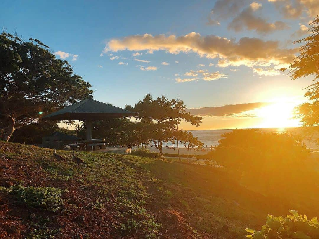 Instagenic Hawaiiのインスタグラム：「. Aloha Friday🌅  今週もお疲れ様でした😌 写真はハワイ島ハプナビーチのサンセットです。  写真左側に見える2羽の鳥はハワイ州鳥のネネ🦆  たまにネネがツガイでサンセットを見に来ています🤎  皆さま良い週末をお過ごしくださいね。  #ハワイ #ネネ #ハワイ島 #野鳥 #鳥 #ハプナビーチ #夕陽 #サンセット #絶景 #ハワイ旅行 #ハワイライフ #ハワイ情報 #hawaii #islandofhawaii #hapunabeach #beach #sunset #beautifulhawaii #nene #wildlife #nature #travel」