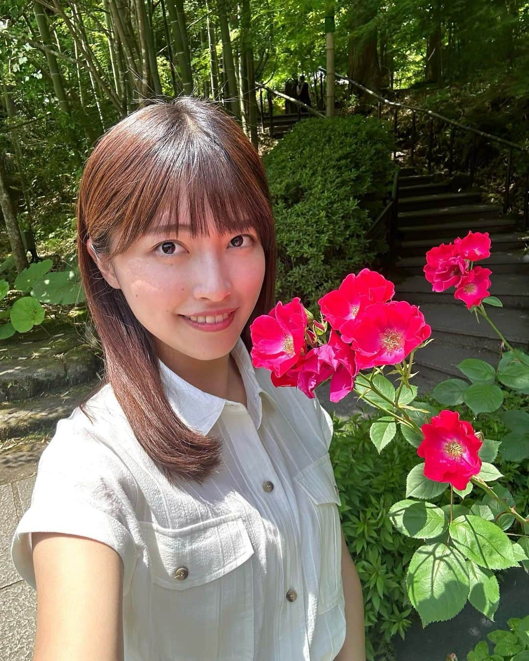 KHBアナウンス部さんのインスタグラム写真 - (KHBアナウンス部Instagram)「松島町にある円通院🌹  甘い香りに豊かな色彩の薔薇が 見頃を迎えています！  取材で訪れましたが、 気品ある美しい姿に癒されました☺️  10月まで見られるそうなので、 ぜひ行ってみてください✨  #バラ園 #バラ #松島 #円通院 #アナウンサー #内田有香 #東日本放送」6月9日 20時28分 - khb_announcer