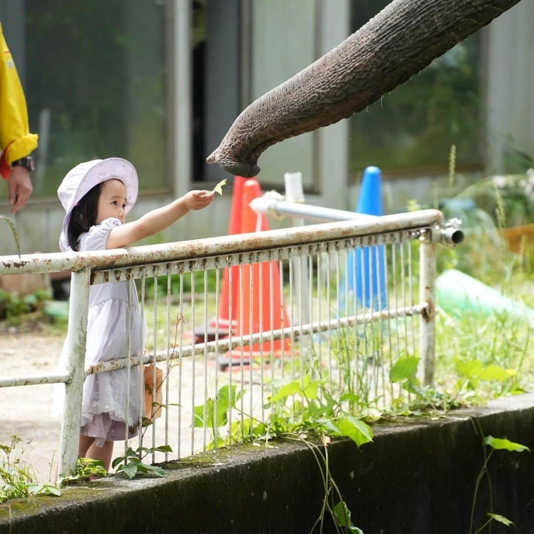 きりのさんのインスタグラム写真 - (きりのInstagram)「栃木県のうつのみや動物園行ってきました🥰✨  ふれあえる動物が多くて子ども達は大喜び☺️  敷地内に遊園地もあって一日中遊べました☘️  私は二重顎だったのでスタンプしておきますー笑　夏までに少しダイエットしますー笑  #うつのみや動物園 #栃木観光」6月9日 20時46分 - kirino0808