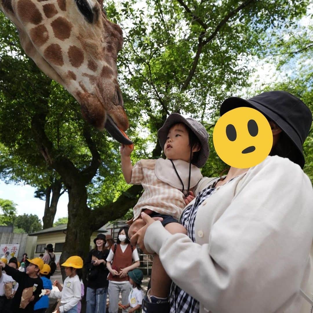 きりのさんのインスタグラム写真 - (きりのInstagram)「栃木県のうつのみや動物園行ってきました🥰✨  ふれあえる動物が多くて子ども達は大喜び☺️  敷地内に遊園地もあって一日中遊べました☘️  私は二重顎だったのでスタンプしておきますー笑　夏までに少しダイエットしますー笑  #うつのみや動物園 #栃木観光」6月9日 20時46分 - kirino0808