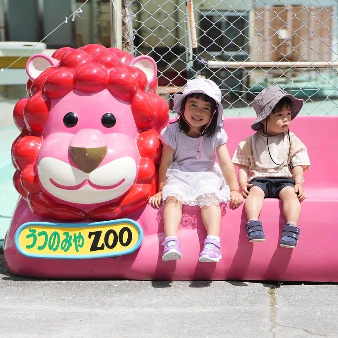 きりののインスタグラム：「栃木県のうつのみや動物園行ってきました🥰✨  ふれあえる動物が多くて子ども達は大喜び☺️  敷地内に遊園地もあって一日中遊べました☘️  私は二重顎だったのでスタンプしておきますー笑　夏までに少しダイエットしますー笑  #うつのみや動物園 #栃木観光」