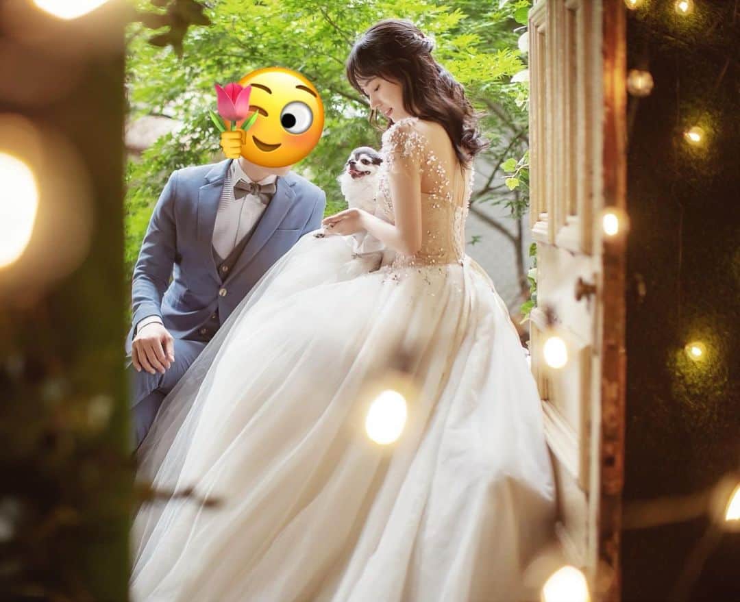 市川あまみさんのインスタグラム写真 - (市川あまみInstagram)「だいぶ前に撮ったウェディングフォト❤️(データありすぎて中々選べなかった、、笑) 韓国ドラマっぽい写真を撮ってみたよ🌸 . 普段選ばないようなドレスも可愛すぎた👗❤️ . この撮影もだけど、ダイエットも付き合ってくれた旦那さんとこまち🐶(←散歩連れてかれまくり)に感謝😂✨🙏 . #ウェディングフォト#韓国ウェディングフォト#花嫁」6月9日 21時02分 - amamiyogacoach