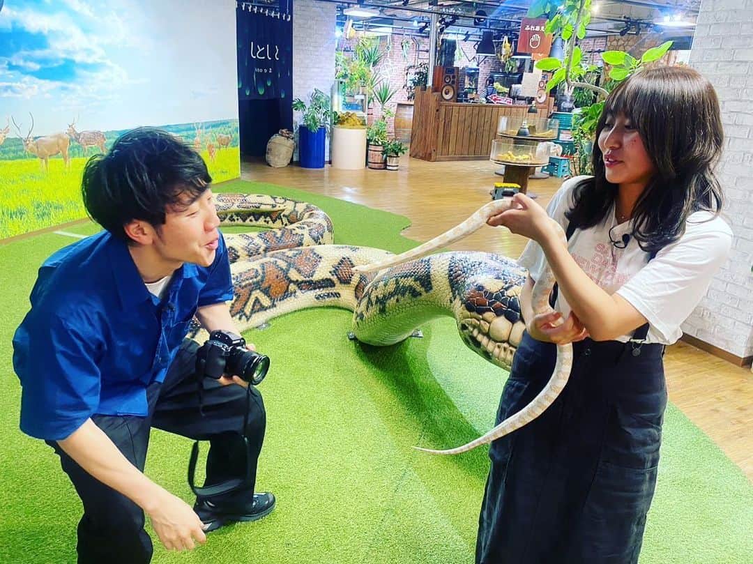 朝日放送「おはよう朝日土曜日です」のインスタグラム：「爬虫類との遭遇🐍 #小さい目の子は#みんな友達#ヘビ#しんぺーカメラマン#いっぱい写真撮ったよ#奈良いきものミュージアム#天王寺動物園#神戸どうぶつ王国#なないろリサーチ #6月10日放送#見てね！  #おは土#おはよう朝日土曜日です#ABCテレビ #北村真平#ABCアナウンサー #堀くるみ」