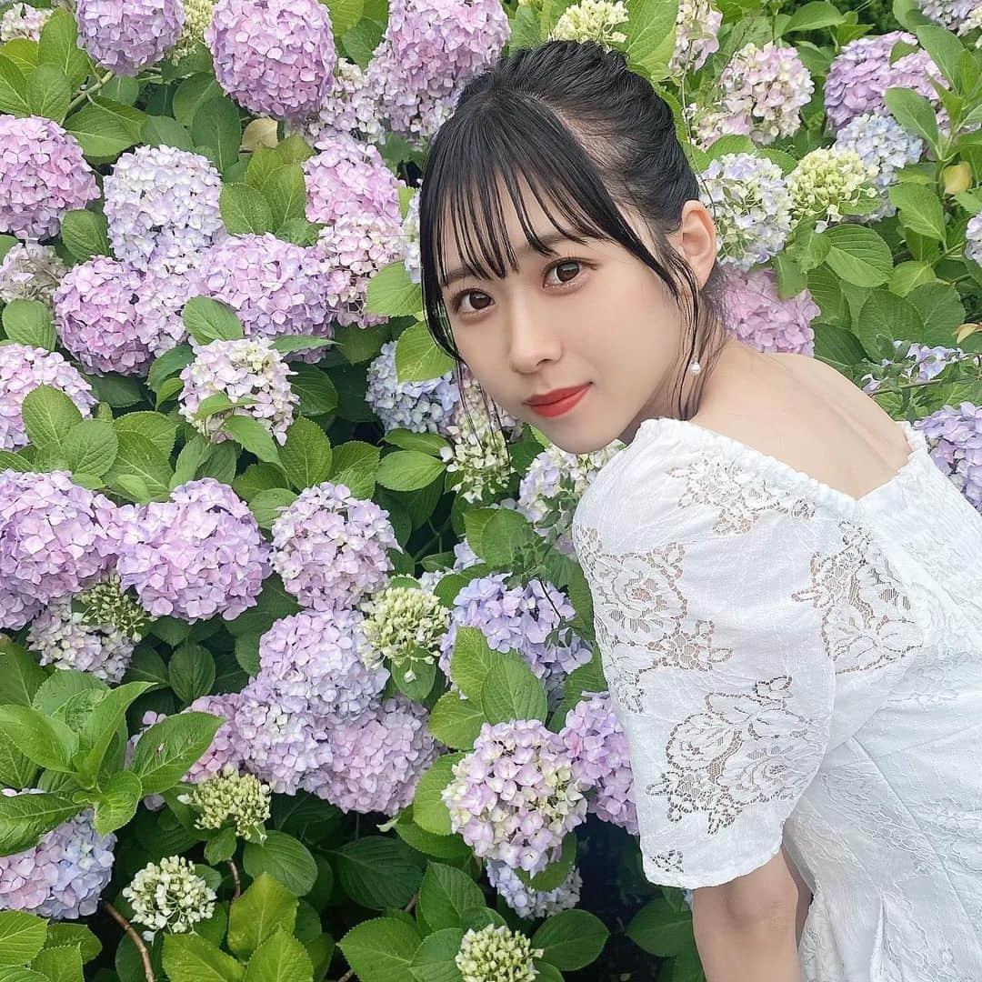 高橋美海さんのインスタグラム写真 - (高橋美海Instagram)「⁡ ⁡ ⁡ ⁡ ⁡ ⁡ 紫陽花、とーっても綺麗に咲いてたよ💠 ⁡ ⁡ ⁡ ⁡ ⁡ ⁡ ⁡ ⁡ #instalike #instadaily #flowers #春夏 #紫陽花 #あじさい #八景島シーパラダイス #八景島あじさい祭 #hair #髪型 #ヘアアレンジ #お団子ヘア #まとめ髪 #x純文学少女歌劇団 #髙橋美海」6月9日 21時14分 - __mimi0717