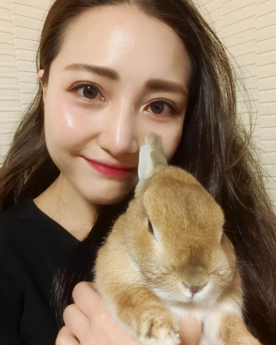 Hiromi Tomiiさんのインスタグラム写真 - (Hiromi TomiiInstagram)「. こんばんわ🐰 . 昨日は大好きなまさみちゃんと久しぶりの再会でめちゃめちゃ充電しました😊♥ いつも笑顔なまさみちゃんが大好きでひろみまでつられ笑いしちゃうんやけど、暖かくて優しくてほんとに素敵な女性やなって思う😊♥ ひろみもまさみちゃんみたいなおねぇさんになれるよう頑張るう☺♥ まさみちゃんはお料理も上手で美味しいし最高です◎ →また食べたい♥ 定期的に離れてても会える幸せ噛み締めた日😇😇😇♥♥♥ . . その前の日はしげるんと😂😂😂 大事な日だからって忙しいのにスケジュール縫って来てくれる感じが優し◎ 夜中の12時回ってから焼肉食べに行こうって繰り出すから、時間軸フリーすぎてお腹痛いです😂😂😂 みーやんが選んだ夏服ファッションショーが声出るほど笑ったww . ２日間よーく笑いました◎◎ . . めちゃめちゃ悩んだけど、 明日は６回目の💉 . 何事も無きよう◎◎ . .  . #うさすたぐらむ #ネザーランドドワーフ #ネザーランド #ネザーランドドワーフ男の子 #ネザーランドドワーフオレンジ #うさぎ #ピーターラビット #ネザー #ふわもこ #ふわもこ部 #うさぎ好きな人と繋がりたい #うさぎのいる暮らし  #うさぎのいる生活  #うさぎ部 #rabbit  #rabbits  #rabbitsofinstagram  #rabbitstagram  #rabbitlove」6月9日 21時16分 - hiromi.tomii