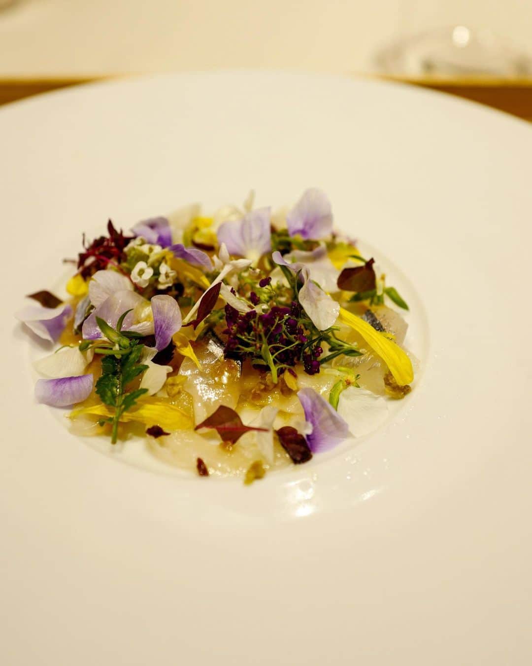 藤井聖子のグルメインスタ