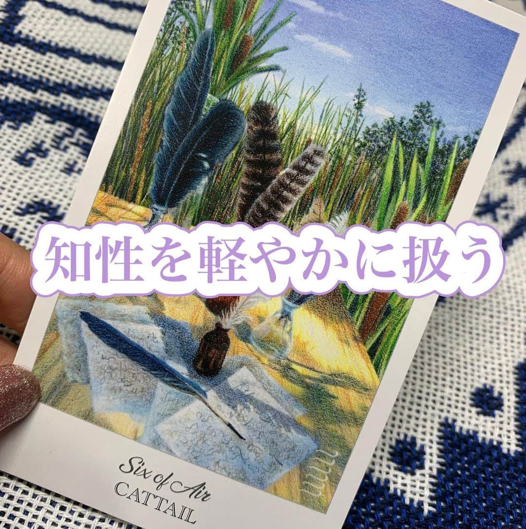 叶ここさんのインスタグラム写真 - (叶ここInstagram)「カラス、フクロウ、サギの羽は知性の象徴  キャットテール種が飛んでいく様に意図をせず風の力に任せ  植物が薬、衣服、燃料、あらゆる生活の助けとなるもの、あらゆるものへと変化するように、  方法を定めず、今できることをあらゆる手段で試してみる。  知性を軽やかに扱う。  ‪知性は振りかざしたり、分断させたり、誰かを攻撃したり傷つける要素もある。‬  ‪この6番目の風のエレメントは人との協力や柔和な知性を大切にという段階を示唆してる。‬  ‪軽やかな知性。‬  ‪柔らかで、臨機旺盛で、別種とも調和する知性。‬  #魔女タロット #ハーブ #tarot #tarotcards #wicca #witch #witchcraft #fortuneteller #占い師　#魔女」6月9日 21時38分 - coco_kanou