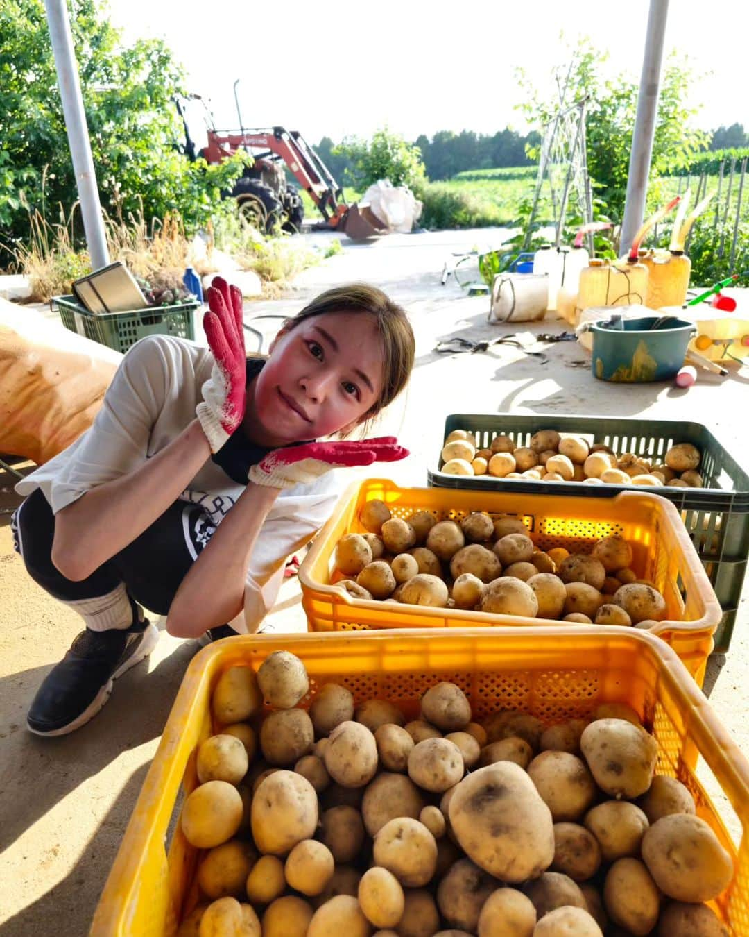 ホン・アルムさんのインスタグラム写真 - (ホン・アルムInstagram)「감자밭은 행복해🥔 감자랑 상추 한가득🌿 햇감자 맛있게 잘먹겠습니다🫶 . . . #감자밭소녀」6月9日 22時07分 - hong_ahreum