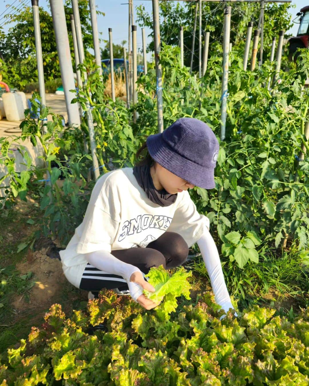 ホン・アルムさんのインスタグラム写真 - (ホン・アルムInstagram)「감자밭은 행복해🥔 감자랑 상추 한가득🌿 햇감자 맛있게 잘먹겠습니다🫶 . . . #감자밭소녀」6月9日 22時07分 - hong_ahreum