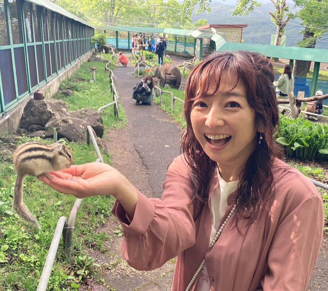 佐藤彩のインスタグラム：「先日、久しぶりに小樽へドライブ🚗 . . 金城アナが今日ドキッでリポートしていた 天狗山のジップラインがお目当て！ だったものの…  お天気がイマイチだったからか 残念ながらやっておらず…😱  そんななか！ 山頂のリスたちと触れ合えるスペースで、かなり癒されました🐿  リスの餌の威力は絶大です😂  初めて手のひらにリスを載せることができて、感動🥹 あの足の感触は忘れられません！ . . 最後ちらっと青空も見られたし！ 美味しいものをたくさん味わって！  良い思い出ができました☺️  今度は天気がいい日にドライブできますように🥹🚗  #小樽 #小樽観光 #天狗山 #シマリス #シマリス公園 #リスが手にのった」