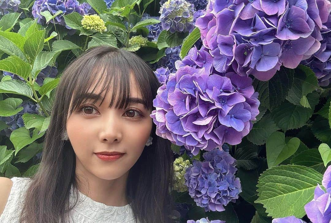 瀬野ユリエのインスタグラム：「紫陽花☔️🐸 #梅雨入り」