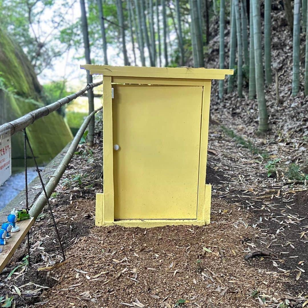 三宅裕貴さんのインスタグラム写真 - (三宅裕貴Instagram)「【続き】 天王池竹林の頂上を下りると、どこでもドアが置いてあったので、どこでもドアと撮影しました。 (主観ポージング: ジョジョの奇妙な冒険 擬音語「バーン」)  更に、どこでもドアと撮影しました。 (主観ポージング: ドラえもん「のび太くーん(追っかける)」)  楽しんで撮影が出来ました。  どこでもドアの前に、黄色の子供用どこでもドアとどこでもドアの説明書きがあったので、撮影して載せました。 もうひとつさかのぼると、頂上に紫色のどこでもドアがあったので、撮影して載せました。  どこでもドアを過ぎると入り口の切り株のトトロまで戻ってきました。その帰り際、近くの細道を散策すると、槌の子手配書があったので撮影して載せました。  面白い癒しの散策を楽しみました。  PS. この投稿を見て天王池竹林へ伺う皆様へ 動きやすいシューズ、虫除け等の対策、マムシ対策して、ご安全に楽しんで下さいませ。  #ジャージ #jersey #스포츠웨어 #セットアップ #matchingmaterials #설정 #アンダーアーマー #underarmour #岡山メンズモデル (プライベート) #岡山モデル #モデル #天王池竹林 #竹林 #bamboogrov #どこでもドア #anywheredoor  #ジョジョの奇妙な冒険 #jojosbizarreadventure  #ドラえもん #doraemon  #槌の子 #つちのこ #玉野 #tamano #たまの #岡山 #okayama #おかやま #プライベート」6月9日 23時33分 - yuhkimiyakeevo