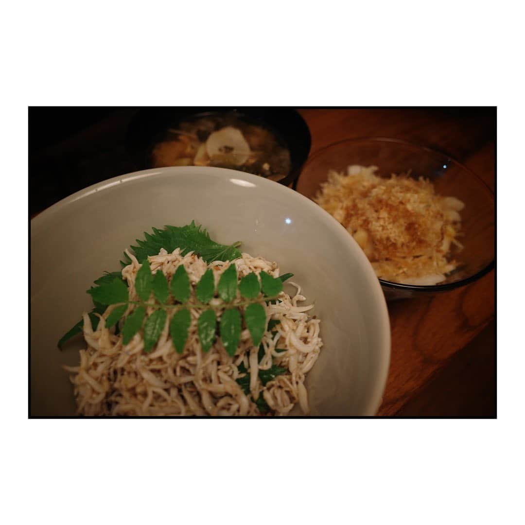 藤田敦子さんのインスタグラム写真 - (藤田敦子Instagram)「ㅤ 【#blendakitchen 】 テーブルがないので なかなかご飯を作る気になれず 久々に簡単に。  ☑︎ @nanadaime_yamari しらす丼 ☑︎ @h.r.r.insta さんにもらった玉ねぎでサラダ ☑︎具沢山味噌汁  丼は @nao_yamari07 くんにいつもお願いしている しらす定期便が届いたので、早速どんぶりに。 オリーブオイル、 @apappemayajifu2018 の生黒胡椒、 しらす醤油、 @usagifarm_ai の神ネギだれを混ぜ混ぜ。 本当は納豆があるとベストやったな…😭  自身のブランドとして美味しい納豆を 今度出すので、それを常備するのが楽しみ🥺✨  ちなみに上の大きい木の芽は @nagasaki_no_yuko さんが @yuheiii に託してくれたもの。 あの台風の日に受け取りましてん👍 ゆうこさんありがとうございます！  玉ねぎサラダは、りえさんにもらった玉ねぎで。 水にさらさんくでも美味しいで！と言われてたので 勇気を出してさらさずにたべたら 本当に美味しかった。 生の玉ねぎが苦手なもんで さらさず食べて美味しいのは初めてかも✨ イワシの削り節と、美味しい生醤油、 これまたオリーブオイルでいただきました。  味噌汁は、具材盛りだくさん。 アスパラ きくいも 干し椎茸 干しごぼう＆にんじん わかめ ひじき でした✨どんだけ。 お味噌は合わせるのが好きなので 自家製のものと、以前 @akiracosmic に いただいた豆味噌をまぜて。  アパッペマヤジフに知り合いおる、て方いないかなあ… お仕事でご連絡したいのだけどなあ🤔  #いえごはん #おうちごはん #家ごはん #家ご飯 #うつわ #器 #暮らし #instafood #foodstagram #簡単ごはん #手料理 #家庭料理 #フレキシタリアン #flexitarian #Glutenfree #グルテンフリー #pescatarian #ペスカタリアン」6月9日 23時46分 - blenda0305