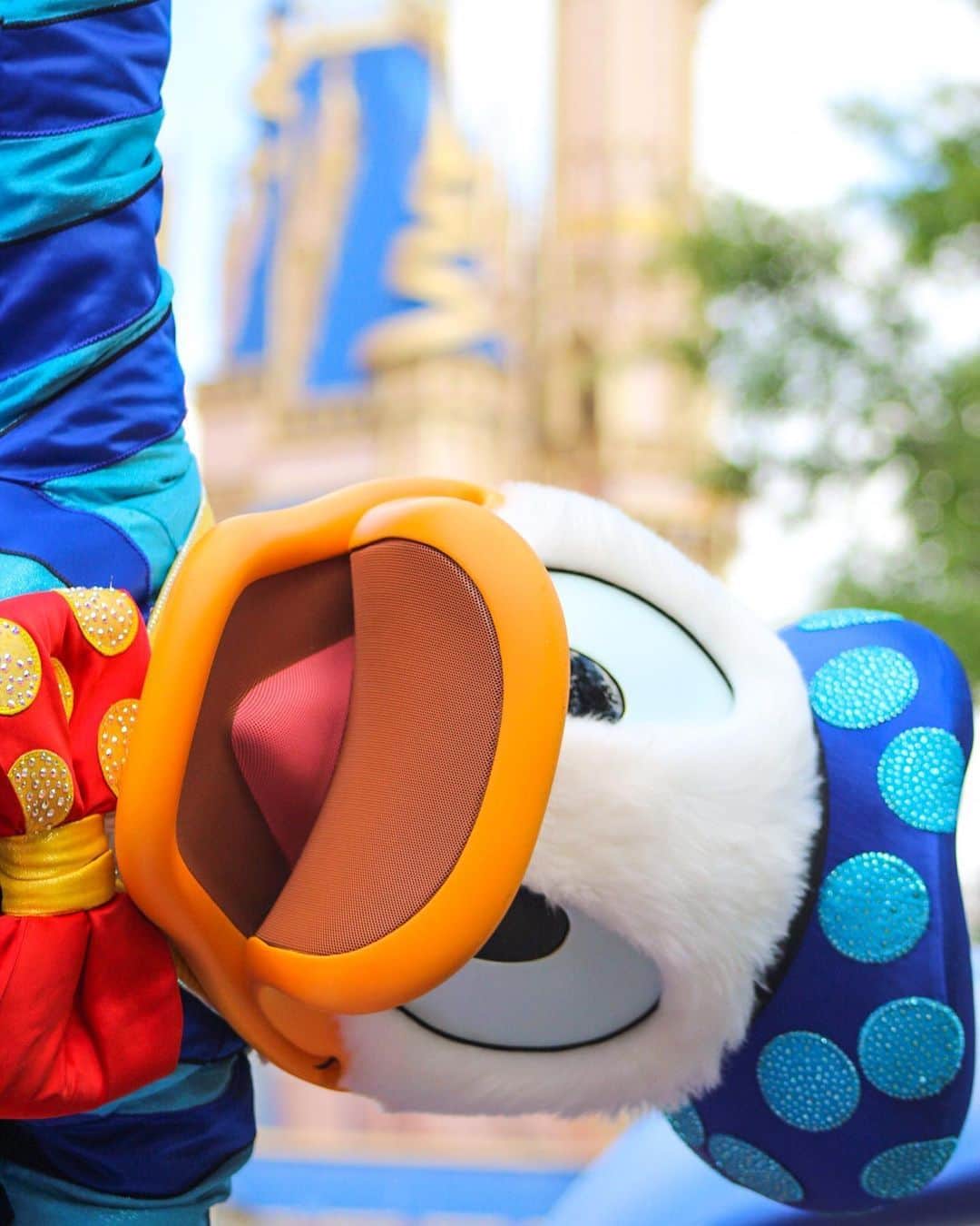 Walt Disney Worldのインスタグラム：「Time to celebrate one of our favorite ducks! Drop a 🦆 to show some love for #DonaldDuck on his birthday! (📸: @thegirlwiththeribbon)」