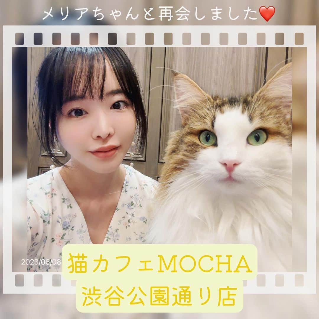 三宮つばきのインスタグラム