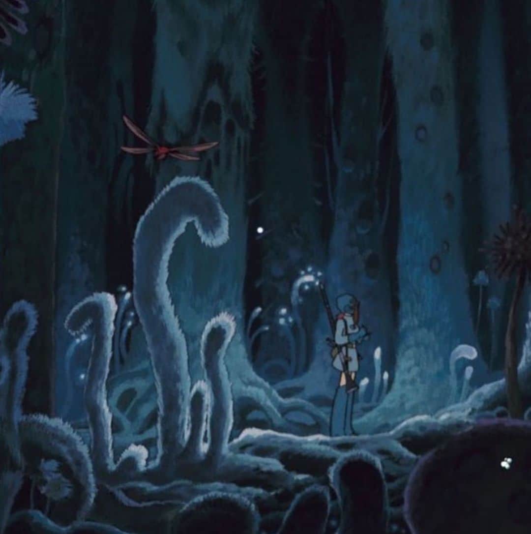 SOPHIE ROSEのインスタグラム：「nausicaa valley of the wind」
