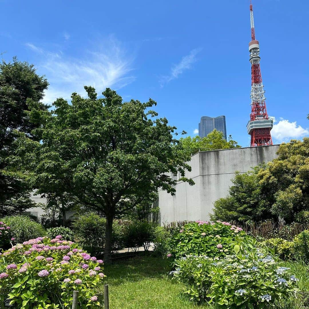 早川茉希さんのインスタグラム写真 - (早川茉希Instagram)「🌞🌿 ぴょーん と跳ねたくなるくらいの快晴だった日☀️  昨日、関東も梅雨入りして 青空が恋しくなってます🥹  公園で子どもを追いかけ回す時にも 大活躍なオールインワンは 展示会で大人気だった @diagramofficial 🤍  サイドと後ろのカットが 可愛くてお気に入りです🫶🏻  外で食べるのって何でこんなに美味しいんだろう🥹 ピクニック大好き🧺🌱  #快晴 #梅雨入り #梅雨明けが待ち遠しい #公園 #子連れお出かけ #ピクニック #日々活発になる1歳児 #追いかけ回すのに必死 #既に焼けてきた息子 #ママコーデ #30代コーデ #30代ファッション #トップスとショルダーも #ダイアグラム #diagram #着回し抜群なトップス #ロンパース #お気に入りアイテム」6月10日 1時06分 - maki_hayakawa