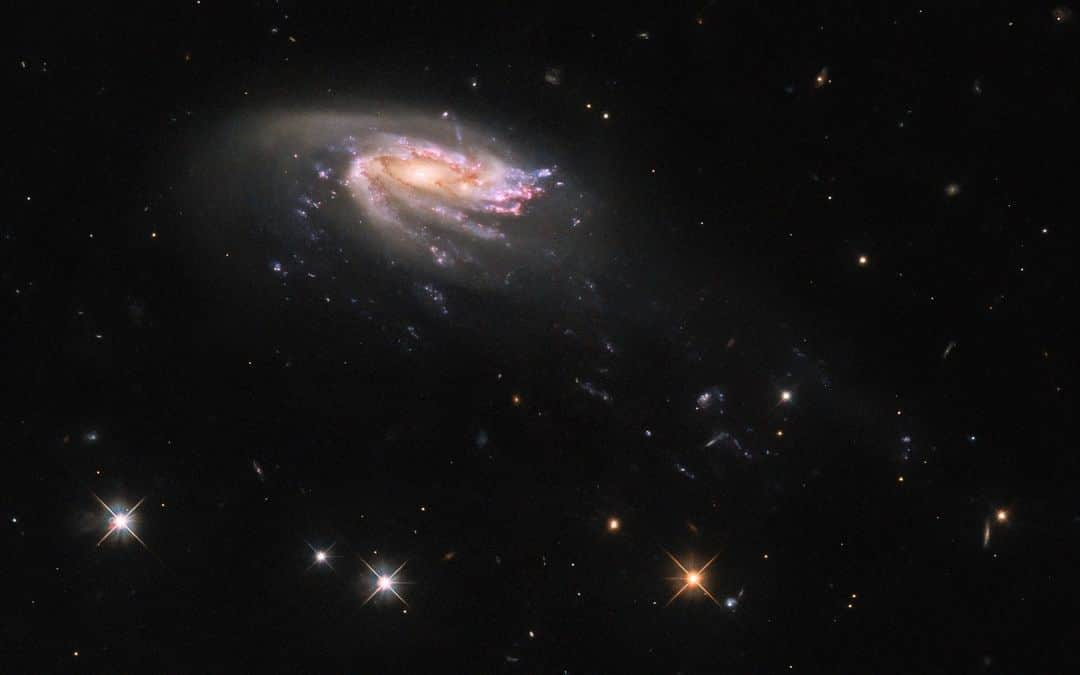 NASAさんのインスタグラム写真 - (NASAInstagram)「Celebrating #WorldOceansMonth is a no-brainer, just like this jellyfish (galaxy)!  Jellyfish galaxies get their name from their resemblance to the aquatic creature. In this @NASAHubble image of JO206, the long tendrils of star formation trail the disk of the galaxy, resembling jellyfish tentacles.  The tendrils of jellyfish galaxies are formed by the interaction between galaxies and the intra-cluster medium, superheated plasma that permeates galaxy clusters. As galaxies move through galaxy clusters, they ram into this superhot plasma, which strips gas from the galaxies and draws it into the long tendrils of star formation.  Learn more at the link in our bio!  Image Description: A spiral galaxy that is tilted partially toward us. Its inner disk is bright and colorful, with bluish and reddish spots of star formation throughout the arms. An outer disk of pale, dim dust surrounds it. It has many arms, which are being pulled away from the disk, down and to the right. They stretch into long, faint trails that cross the image. The background is dark and mostly empty, with three bright stars.」6月10日 1時32分 - nasagoddard