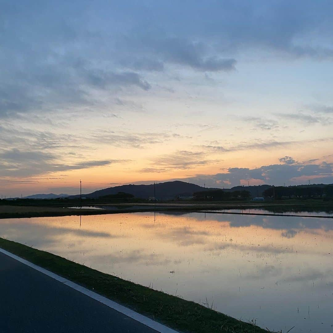 カバのインスタグラム：「先日、知り合いと焼鳥食べに行く途中。  田んぼ道がすごく綺麗やったから、つい立ち止まってしまった。  こういう景色を見ることが減ったから、めっちゃわくわくした。  ほんでこのあと焼鳥食べた。めっちゃ美味しかった。  てかこのわくわくは田んぼ道に？それとも焼鳥に？誰かわかる人いる？  #吉本新喜劇 #カバ #絶景 #田んぼ道 #立ち止まる #わくわく #焼鳥」