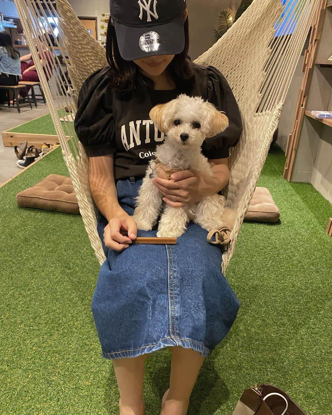 福見真紀のインスタグラム：「毎週むぎとお出かけ🐶☕️🍻 いろんなとこ行こうね🤍  #犬のいる暮らし #マルプー #わんこ #子犬 #ミックス犬」