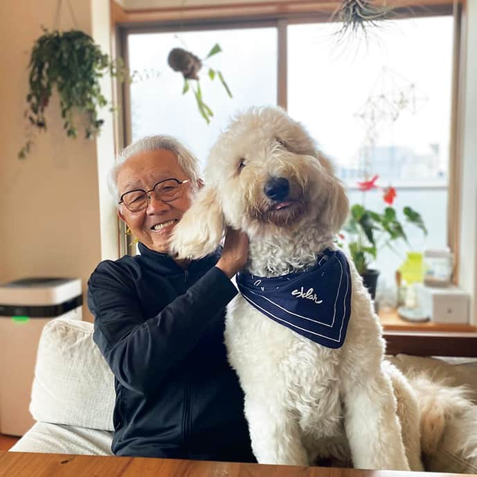 フィガロジャポンさんのインスタグラム写真 - (フィガロジャポンInstagram)「日本、アメリカ、パリから、可愛い愛犬スナップとエピソードをお届け🤍  1_リース・ブルスタイン（インフルエンサー） @double3xposure ルディ ／ ボストンテリア 友人の紹介で出会った時は、とても小さかったルディ。いつも愉快で元気いっぱいな子です。自分の主張したいことを伝えるのが上手で本当に賢いんです。  2_椎津由佳（犬スタグラマー） シエル ／ ゴールデンドゥードル @mofu_mofu_ciel フランス語で空という意味を持つシエル。甘えん坊で犬も人も大好き。相思相愛な96歳のおじいちゃんとは、常に一緒にいるわけではなく、気が向いたら一緒にお昼寝したり、ソファで寛いだりして過ごしています。  3_エモン美由貴（モデル） @miyukiemond マイロ ／ ジャックラッセルテリア @milo__0614 かまってちゃんでいたずらっ子で食いしん坊。4年前に旅立った愛犬の幼少期にとても似ていて、強いフィーリングを感じたので引き取ることに。天然なおもしろ行動が多くて日々笑わせてくれます。  4_miu（モデル） @_miugram_ シゲル ／ カニンヘンダックスフント @_shigerunoshijima 追いかけるよりも追いかけられたい派。ワンプロしている犬たちを冷めた目で見るタイプ（本当は誘ってほしい）。初対面でじっと目を見てくれたので、この子に無償の愛を返すと心に決めました。  5_阿部朱梨（モデル） @akari_abe つくね ／ マルプー @maison_tsukune 11月29日（いい肉の日）に出会ったので、名前はつくね。素直すぎてその時の気分が全部顔に出る（笑）。なかなか構ってもらえないと、膝に顎をのせてきて見つめてくるなど、あざとい一面も！  6_マル・ダラ・ピッコーラ（画家） @maluettt モネ ／ ヨークシャーテリア × ラットラリア @monet_not_money ペットショップで、白い兄弟犬に囲まれているのを見て、放っておけなかったの。クロード・モネから名付けたけど、フランス語ではお金の意味もあり、「モネはお金ではない」というアカウントを作成。  7_小堀紀代美（料理家） サンデー ／ ミディアムプードル × ミニチュアシュナウザー @mynamesunday 初代の愛犬が白、2代目が黒のフレンチブルドッグだったこともあり、3代目は白&黒の子がいいと探していて出会った子。賢くてマイペースでちょっと人見知り。  フィガロジャパン7月号では、世界から集まった愛犬スナップが盛り沢山。ぜひチェックして！  #犬 #愛犬 #カニンヘンダックスフンド #マルプー #ヨークシャーテリア #ラットラリア #ジャックラッセルテリア #ミディアムプードル #ミニチュアシュナウザー #ボストンテリア #ゴールデンドゥードル #犬 #inu #dog #figaromydog2023 #madamefigarojapon #フィガロジャポン #マダムフィガロジャポン」6月10日 12時00分 - madamefigarojapon