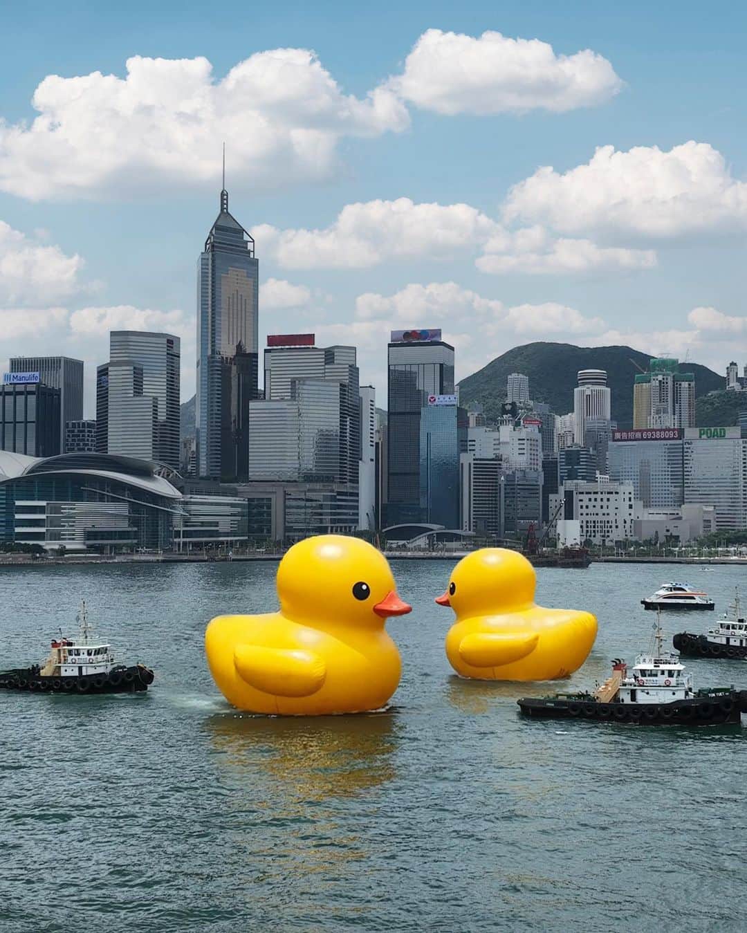 Discover Hong Kongさんのインスタグラム写真 - (Discover Hong KongInstagram)「【Quack quack — the giant Double Ducks🐤🐤 are in town!🥳】 Get ready to ‘quack’ up as the giant Rubber Duck makes a triumphant return after 10 years!The DOUBLE DUCKS — two larger-than-life, 18-metre inflatable rubber ducks created by Dutch artist Florentijn Hofman — have arrived in Victoria Harbour and will be here for two weeks. Positioned like the Chinese characters for happiness (‘囍’)😆 and friends (‘朋’) 👫🏻, they symbolise the joy of partnership and friendship, and the double pleasure of coming together as one.   Don’t miss the duck parade on 18 June, which will start and end in Central, with stops in Causeway Bay, Tsim Sha Tsui East and Tsim Sha Tsui.  📷 @arr.allrightsreserved  DOUBLE DUCKS🐤🐤 🗓️ 10–23 June 2023 (Please visit the event website for information on the exhibition period, which is subject to weather conditions.) 📍 Victoria Harbour (The Central and Western District Promenade (Central Section)) 🔗 doubleducks.ddtstore.com/en  【巨型黃色橡皮鴨🐤🐤結伴遊維港！🥳】 橡皮鴨闊別10年後重回香港，今次更帶埋同伴雙雙暢遊維港！巨型橡皮鴨高18米，由荷蘭藝術家霍夫曼（Florentijn Hofman）創作，結伴的橡皮鴨就好似「囍」😆、「朋」👫🏻兩字，象徵好事成雙，為大家帶來雙倍快樂！  密切留意！6月18日父親節當天黃鴨將沿維港海岸線「出巡」，沿近銅鑼灣海面前往尖沙嘴，經過星光大道及文化中心，再折返中環海面。  📷 @arr.AllRightsReserved  《橡皮鴨二重暢》展覽🐤🐤 🗓️ 2023年6月10-23日 (展期視天氣等情況而定，詳情請瀏覽活動網站) 📍 維多利亞港  (毗鄰添馬公園及中西區海濱長廊 (中環段)) 🔗 doubleducks.ddtstore.com/tc  @DoubleDucks_Official #DoubleDucks  #HelloHongKong #DiscoverHongKong」6月10日 12時21分 - discoverhongkong