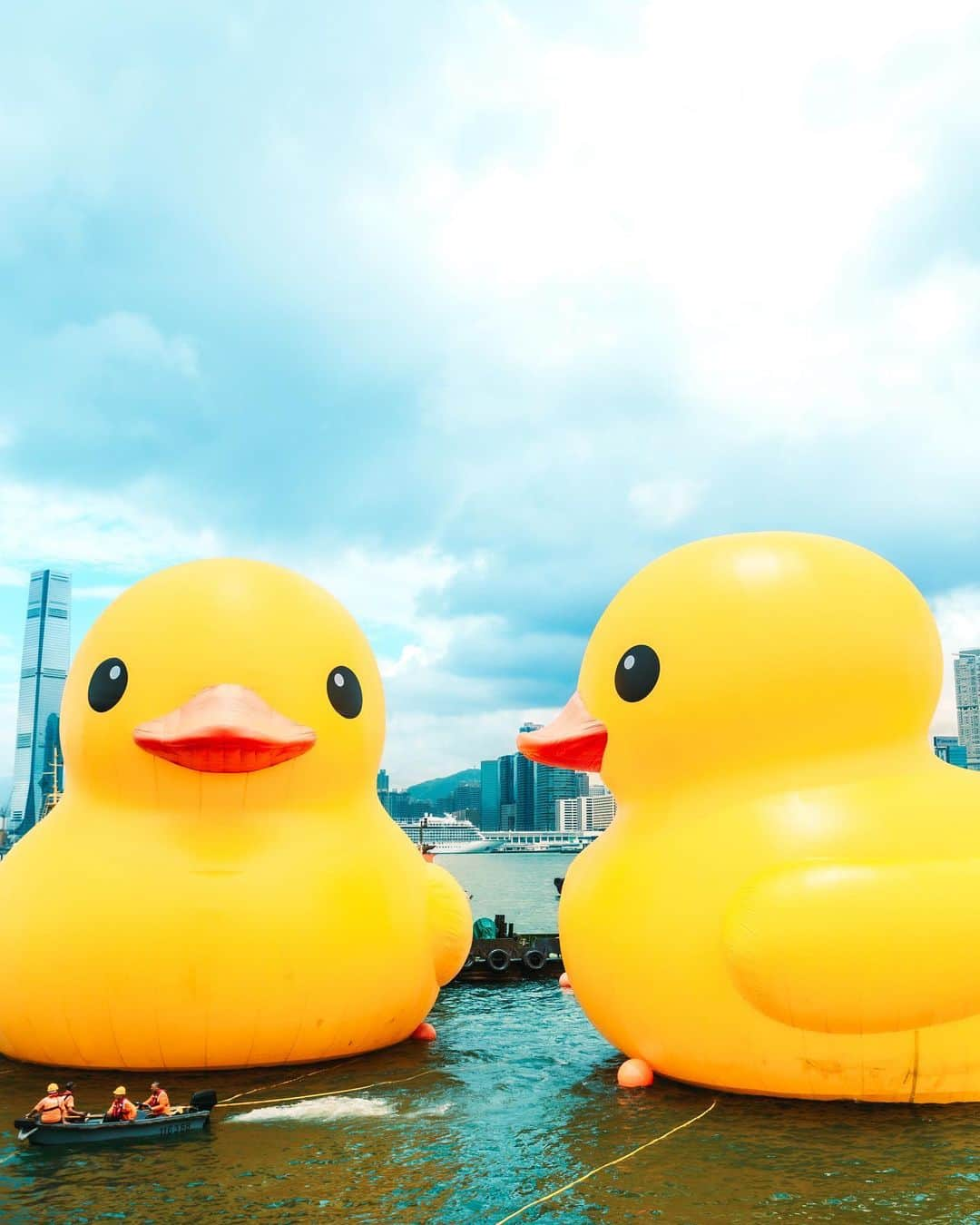 Discover Hong Kongさんのインスタグラム写真 - (Discover Hong KongInstagram)「【Quack quack — the giant Double Ducks🐤🐤 are in town!🥳】 Get ready to ‘quack’ up as the giant Rubber Duck makes a triumphant return after 10 years!The DOUBLE DUCKS — two larger-than-life, 18-metre inflatable rubber ducks created by Dutch artist Florentijn Hofman — have arrived in Victoria Harbour and will be here for two weeks. Positioned like the Chinese characters for happiness (‘囍’)😆 and friends (‘朋’) 👫🏻, they symbolise the joy of partnership and friendship, and the double pleasure of coming together as one.   Don’t miss the duck parade on 18 June, which will start and end in Central, with stops in Causeway Bay, Tsim Sha Tsui East and Tsim Sha Tsui.  📷 @arr.allrightsreserved  DOUBLE DUCKS🐤🐤 🗓️ 10–23 June 2023 (Please visit the event website for information on the exhibition period, which is subject to weather conditions.) 📍 Victoria Harbour (The Central and Western District Promenade (Central Section)) 🔗 doubleducks.ddtstore.com/en  【巨型黃色橡皮鴨🐤🐤結伴遊維港！🥳】 橡皮鴨闊別10年後重回香港，今次更帶埋同伴雙雙暢遊維港！巨型橡皮鴨高18米，由荷蘭藝術家霍夫曼（Florentijn Hofman）創作，結伴的橡皮鴨就好似「囍」😆、「朋」👫🏻兩字，象徵好事成雙，為大家帶來雙倍快樂！  密切留意！6月18日父親節當天黃鴨將沿維港海岸線「出巡」，沿近銅鑼灣海面前往尖沙嘴，經過星光大道及文化中心，再折返中環海面。  📷 @arr.AllRightsReserved  《橡皮鴨二重暢》展覽🐤🐤 🗓️ 2023年6月10-23日 (展期視天氣等情況而定，詳情請瀏覽活動網站) 📍 維多利亞港  (毗鄰添馬公園及中西區海濱長廊 (中環段)) 🔗 doubleducks.ddtstore.com/tc  @DoubleDucks_Official #DoubleDucks  #HelloHongKong #DiscoverHongKong」6月10日 12時21分 - discoverhongkong