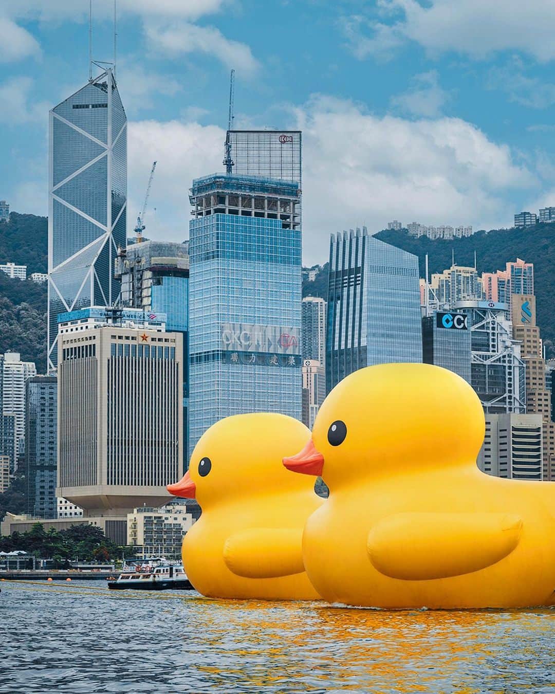 Discover Hong Kongのインスタグラム：「【Quack quack — the giant Double Ducks🐤🐤 are in town!🥳】 Get ready to ‘quack’ up as the giant Rubber Duck makes a triumphant return after 10 years!The DOUBLE DUCKS — two larger-than-life, 18-metre inflatable rubber ducks created by Dutch artist Florentijn Hofman — have arrived in Victoria Harbour and will be here for two weeks. Positioned like the Chinese characters for happiness (‘囍’)😆 and friends (‘朋’) 👫🏻, they symbolise the joy of partnership and friendship, and the double pleasure of coming together as one.   Don’t miss the duck parade on 18 June, which will start and end in Central, with stops in Causeway Bay, Tsim Sha Tsui East and Tsim Sha Tsui.  📷 @arr.allrightsreserved  DOUBLE DUCKS🐤🐤 🗓️ 10–23 June 2023 (Please visit the event website for information on the exhibition period, which is subject to weather conditions.) 📍 Victoria Harbour (The Central and Western District Promenade (Central Section)) 🔗 doubleducks.ddtstore.com/en  【巨型黃色橡皮鴨🐤🐤結伴遊維港！🥳】 橡皮鴨闊別10年後重回香港，今次更帶埋同伴雙雙暢遊維港！巨型橡皮鴨高18米，由荷蘭藝術家霍夫曼（Florentijn Hofman）創作，結伴的橡皮鴨就好似「囍」😆、「朋」👫🏻兩字，象徵好事成雙，為大家帶來雙倍快樂！  密切留意！6月18日父親節當天黃鴨將沿維港海岸線「出巡」，沿近銅鑼灣海面前往尖沙嘴，經過星光大道及文化中心，再折返中環海面。  📷 @arr.AllRightsReserved  《橡皮鴨二重暢》展覽🐤🐤 🗓️ 2023年6月10-23日 (展期視天氣等情況而定，詳情請瀏覽活動網站) 📍 維多利亞港  (毗鄰添馬公園及中西區海濱長廊 (中環段)) 🔗 doubleducks.ddtstore.com/tc  @DoubleDucks_Official #DoubleDucks  #HelloHongKong #DiscoverHongKong」