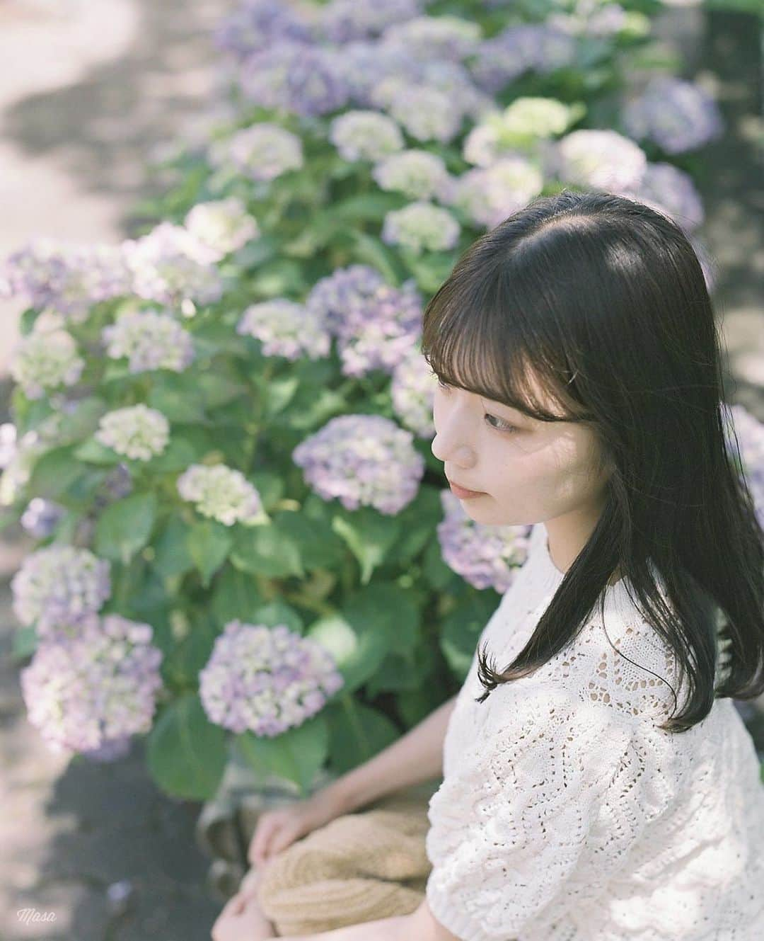 Masaさんのインスタグラム写真 - (MasaInstagram)「.  Pentax6x7  Super Takumar 105mm F2.4 #PRO400H  今週はだいぶ咲いてるかな。  撮影日 : 2023年6月3日  #まさペン#エビプリ #pentax6x7 #pentax67 #バケペン #中判フィルム #film #filmcamera #filmphotography #フィルム #フィルムカメラ#フィルム写真 #igersip #portrait #ポートレート #ultramax #fujifilm #filmisnotdead #滋賀 #shiga #紫陽花 #芦刈園 #もりやま芦刈園 #hydrangea」6月10日 7時30分 - masa_nikonist