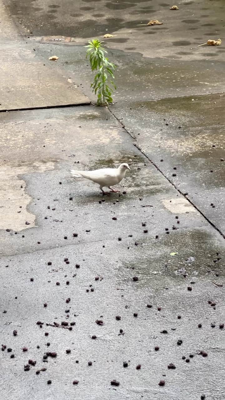 テイラー・モンセンのインスタグラム：「#happyfriday this little guy showed up on Kato’s birthday and hasn’t left ❤️」