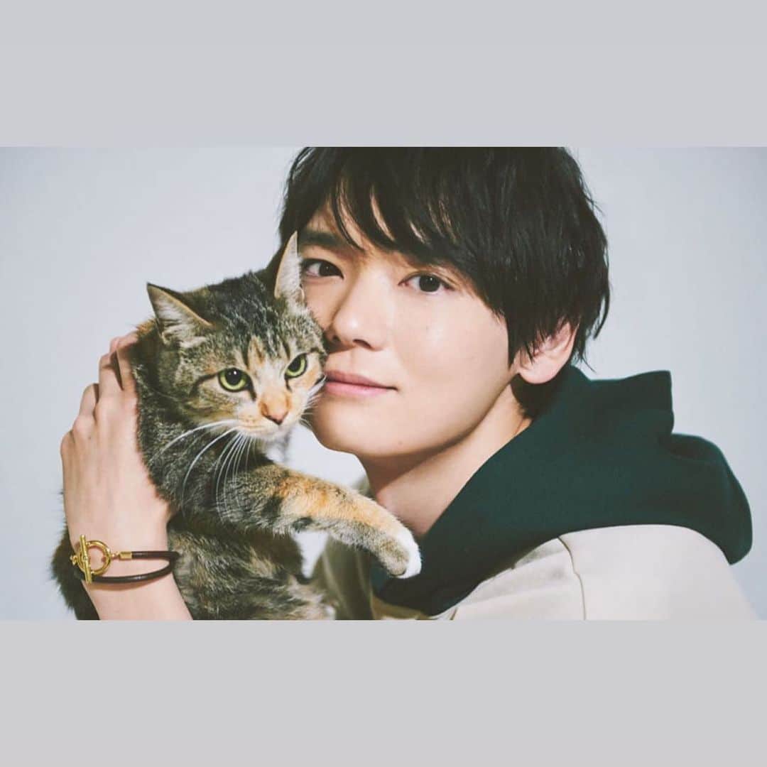 古川雄輝のインスタグラム：「#yukifurukawa #古川雄輝 #ねこ物件」